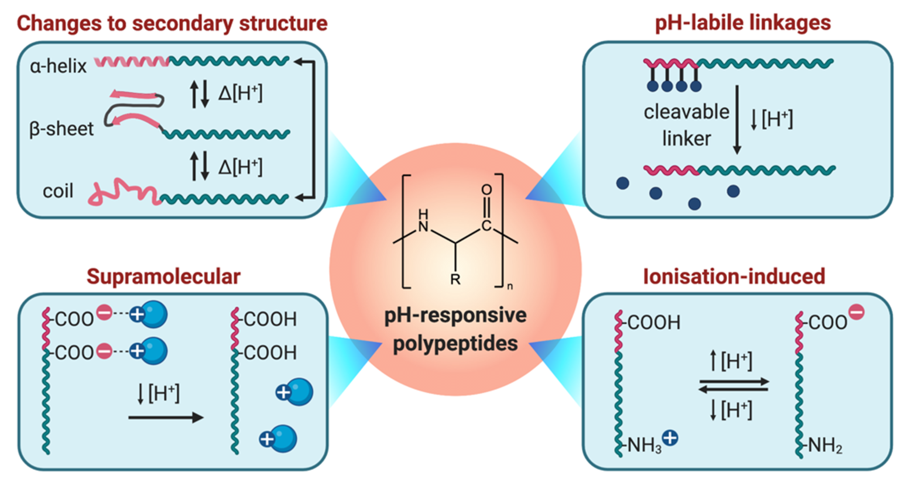Polymers 13 00624 g002