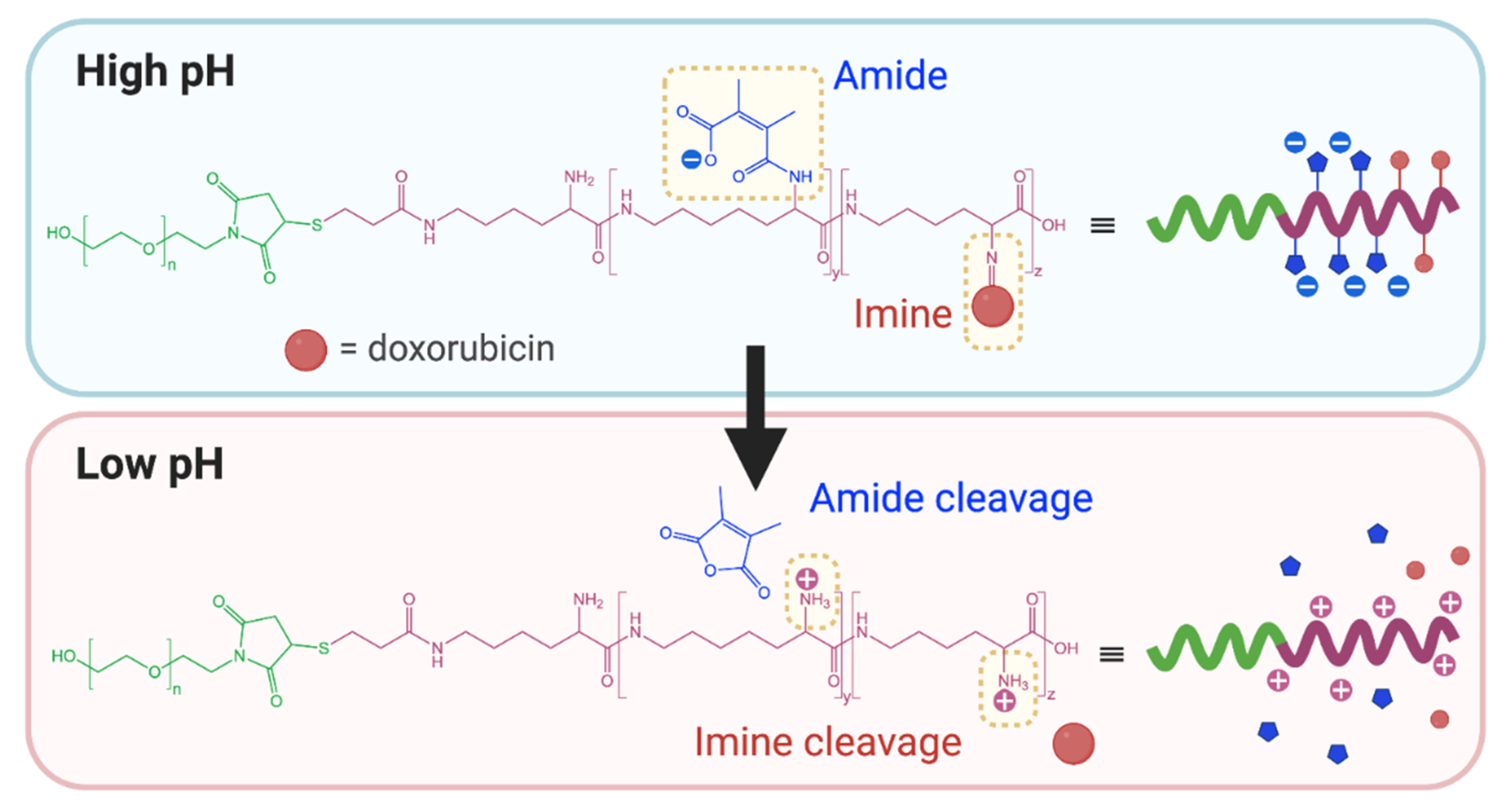 Polymers 13 00624 g004