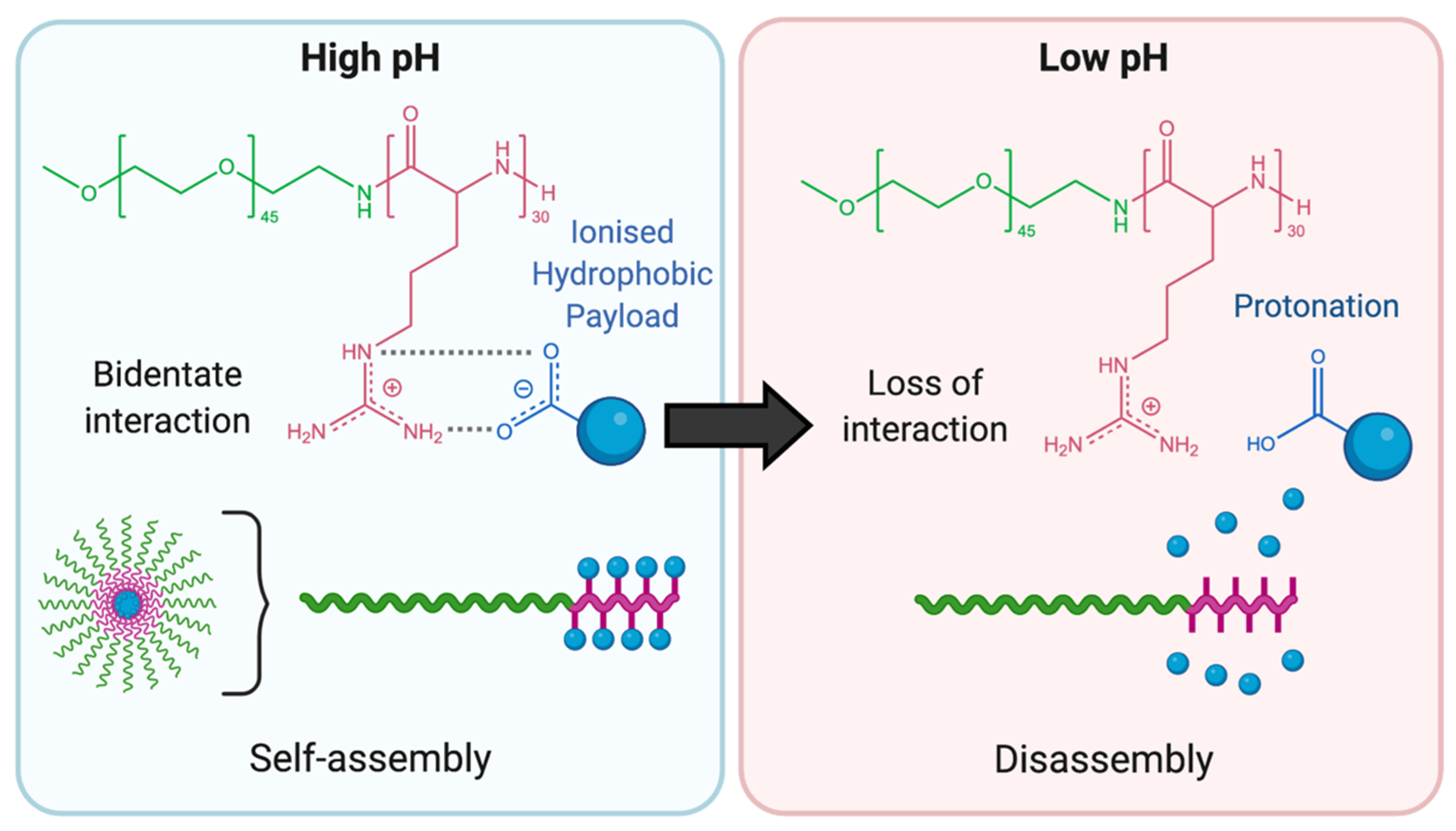 Polymers 13 00624 g006