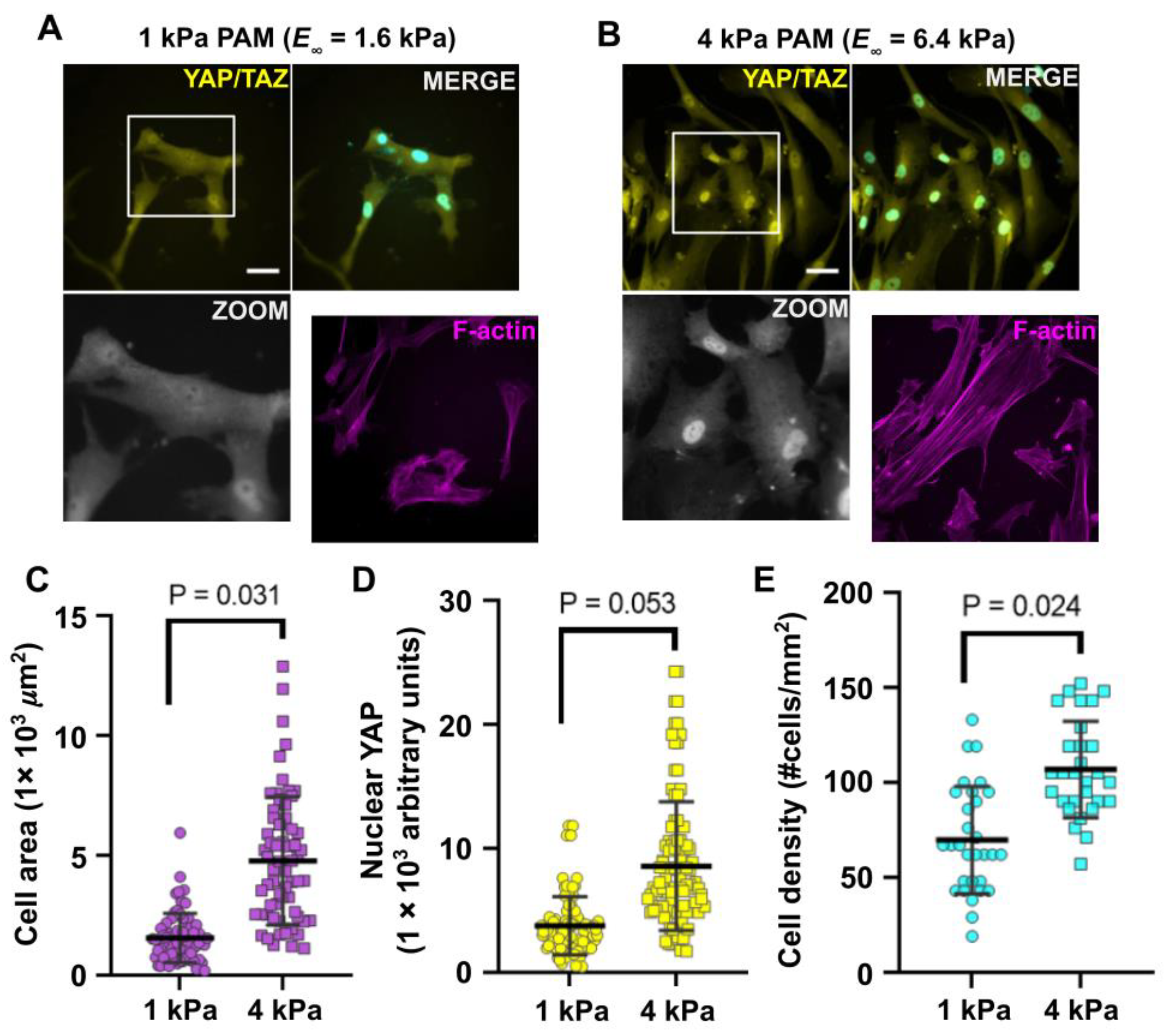 Polymers 13 00629 g006