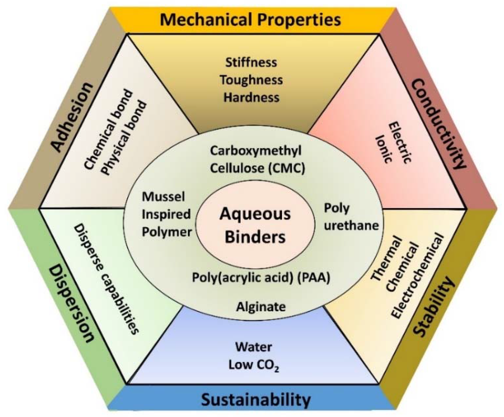Polymers 13 00631 g002