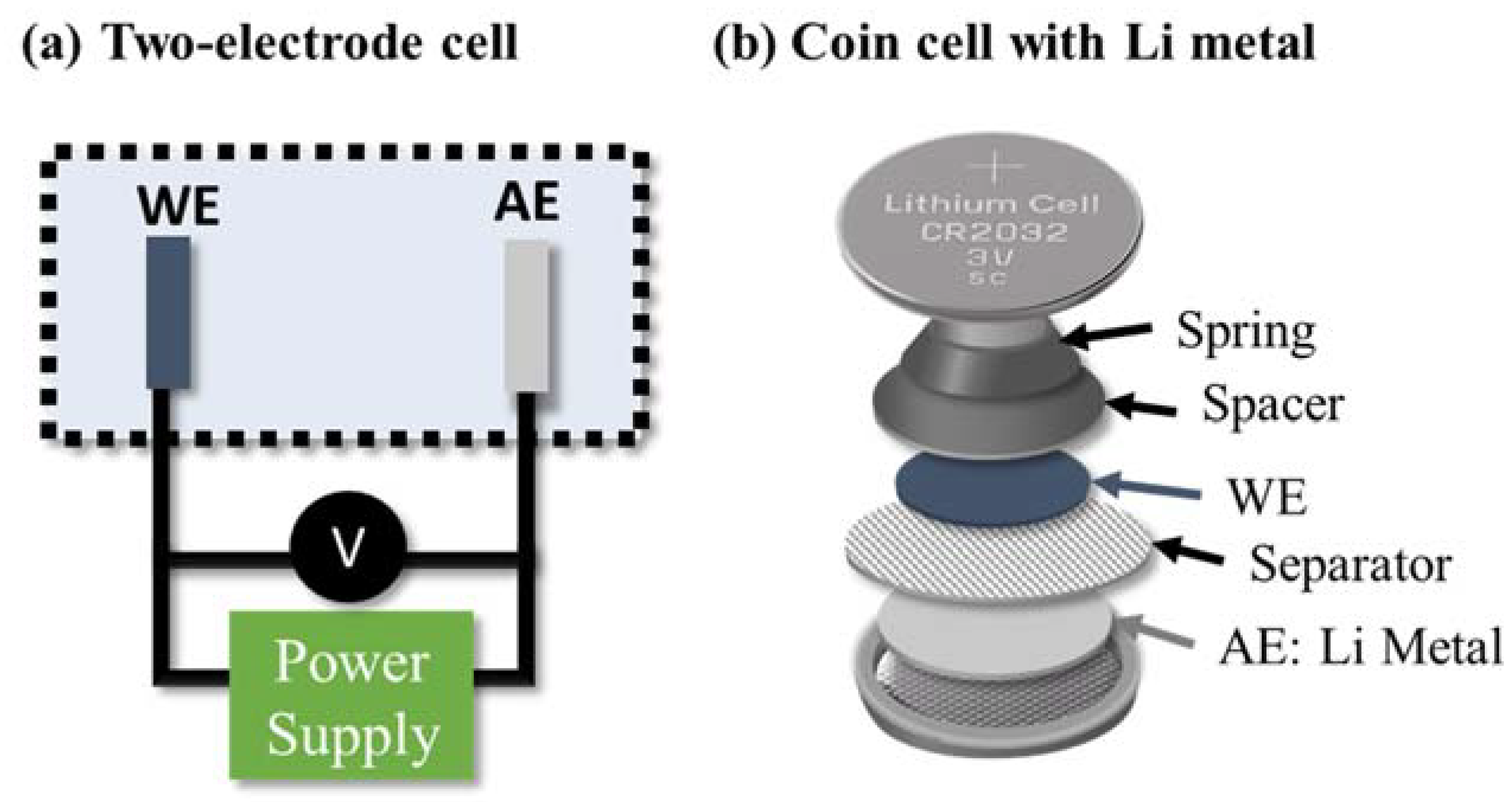 Polymers 13 00631 g003