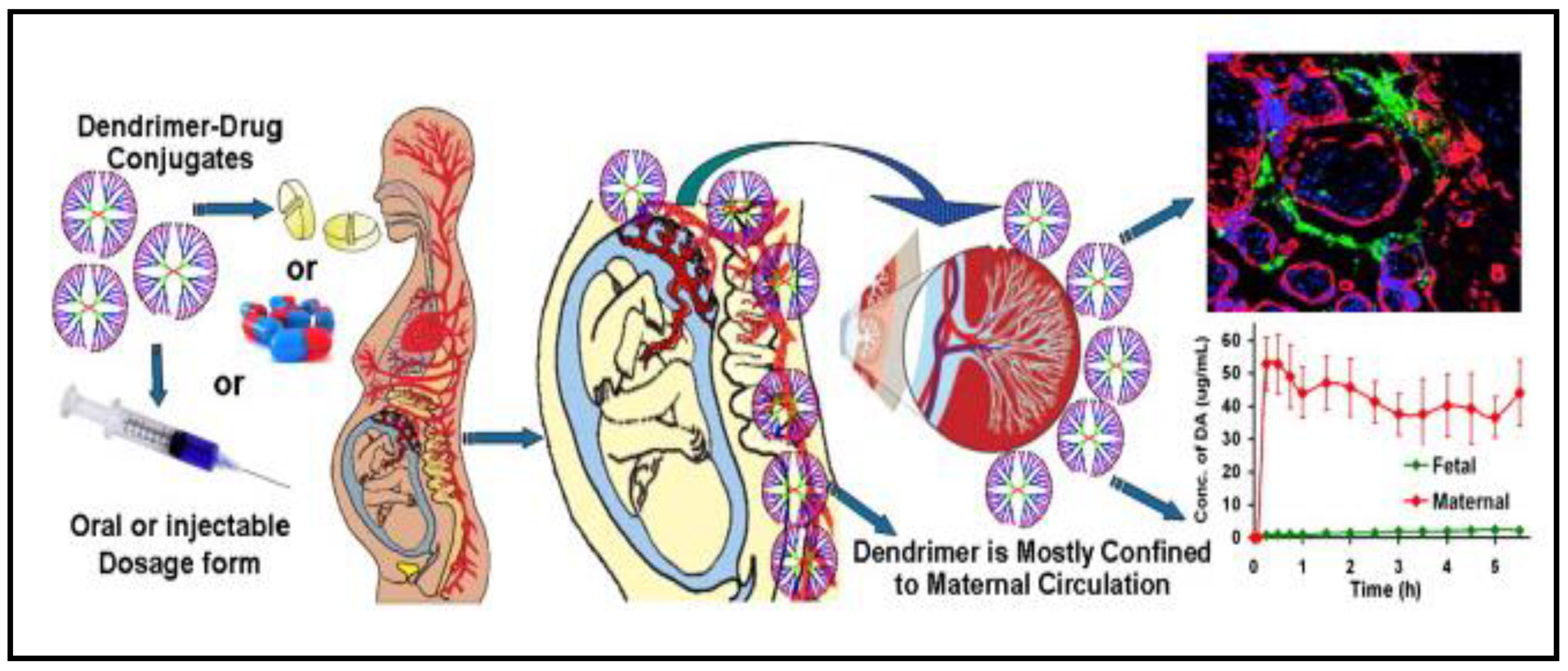 Polymers 13 00633 g002