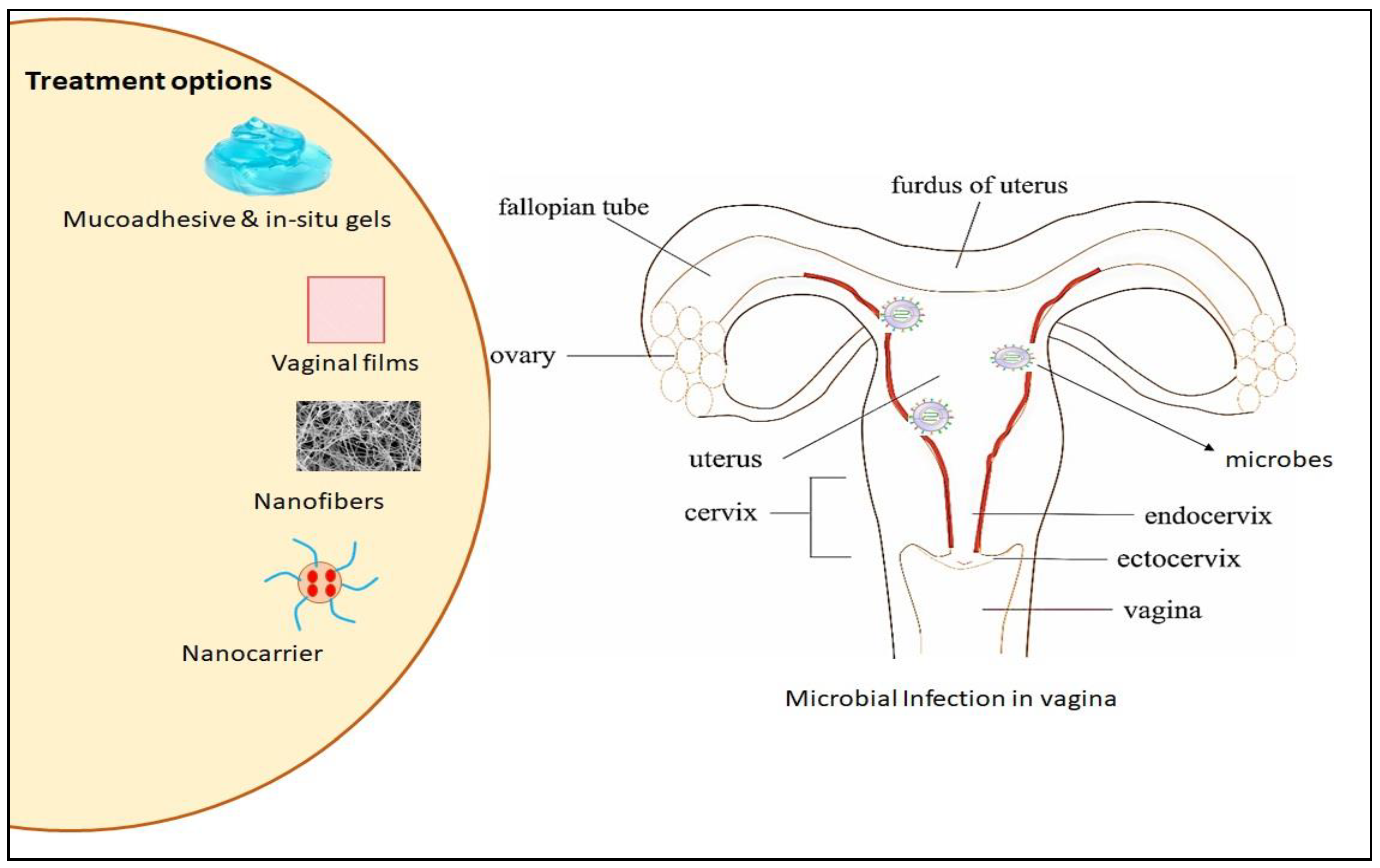 Polymers 13 00633 g006