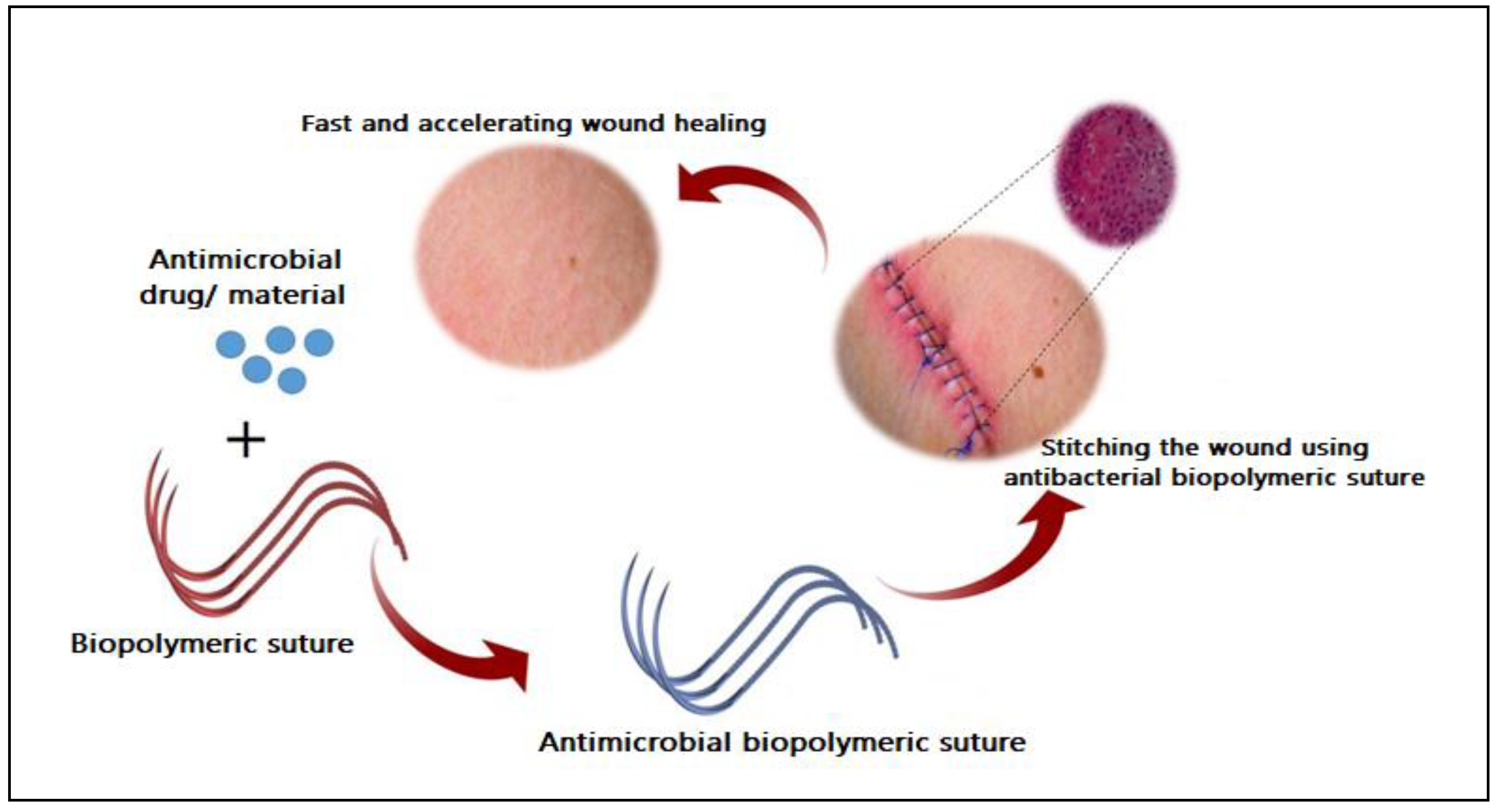 Polymers 13 00633 g007