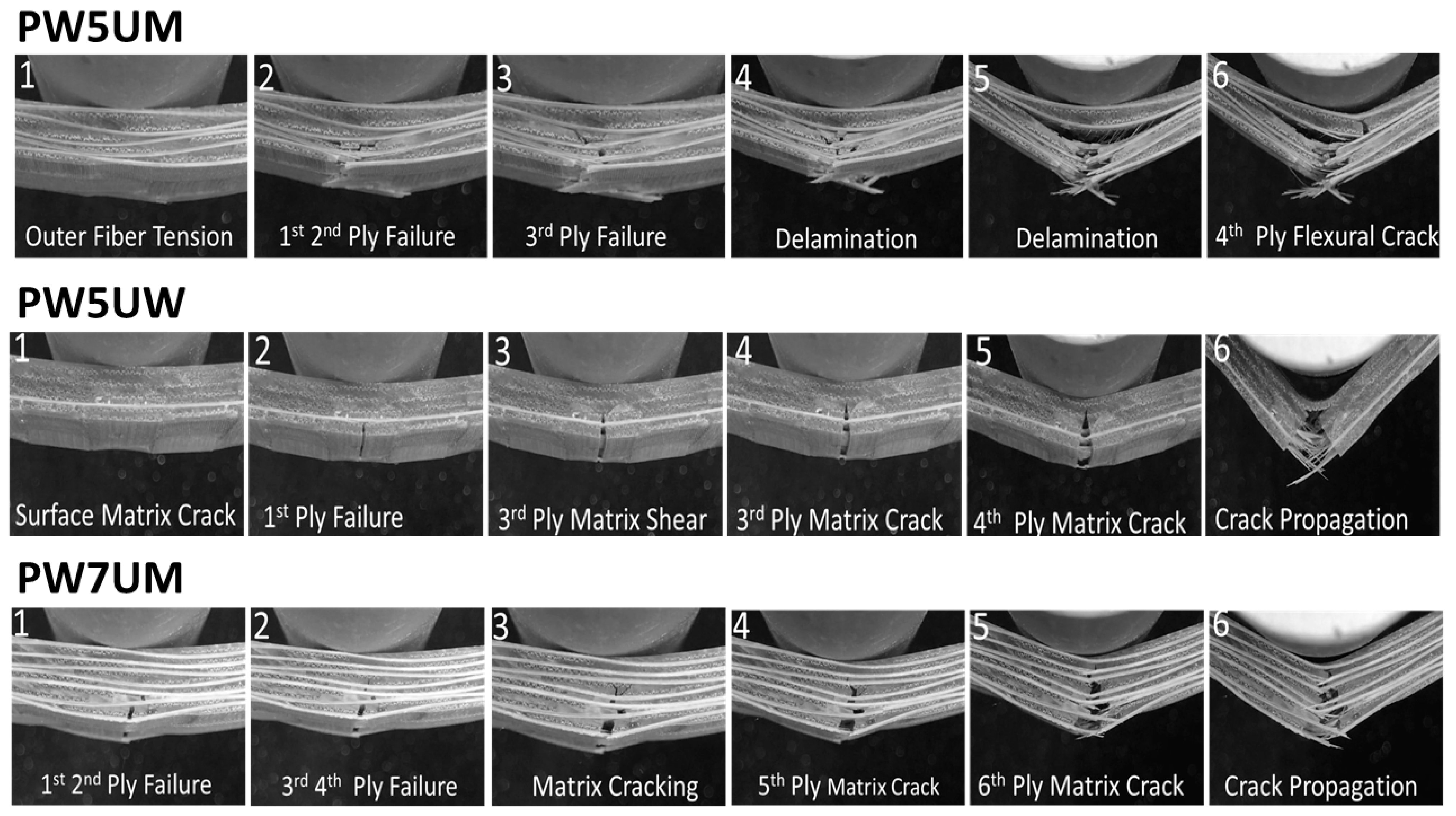 Polymers 13 00634 g005