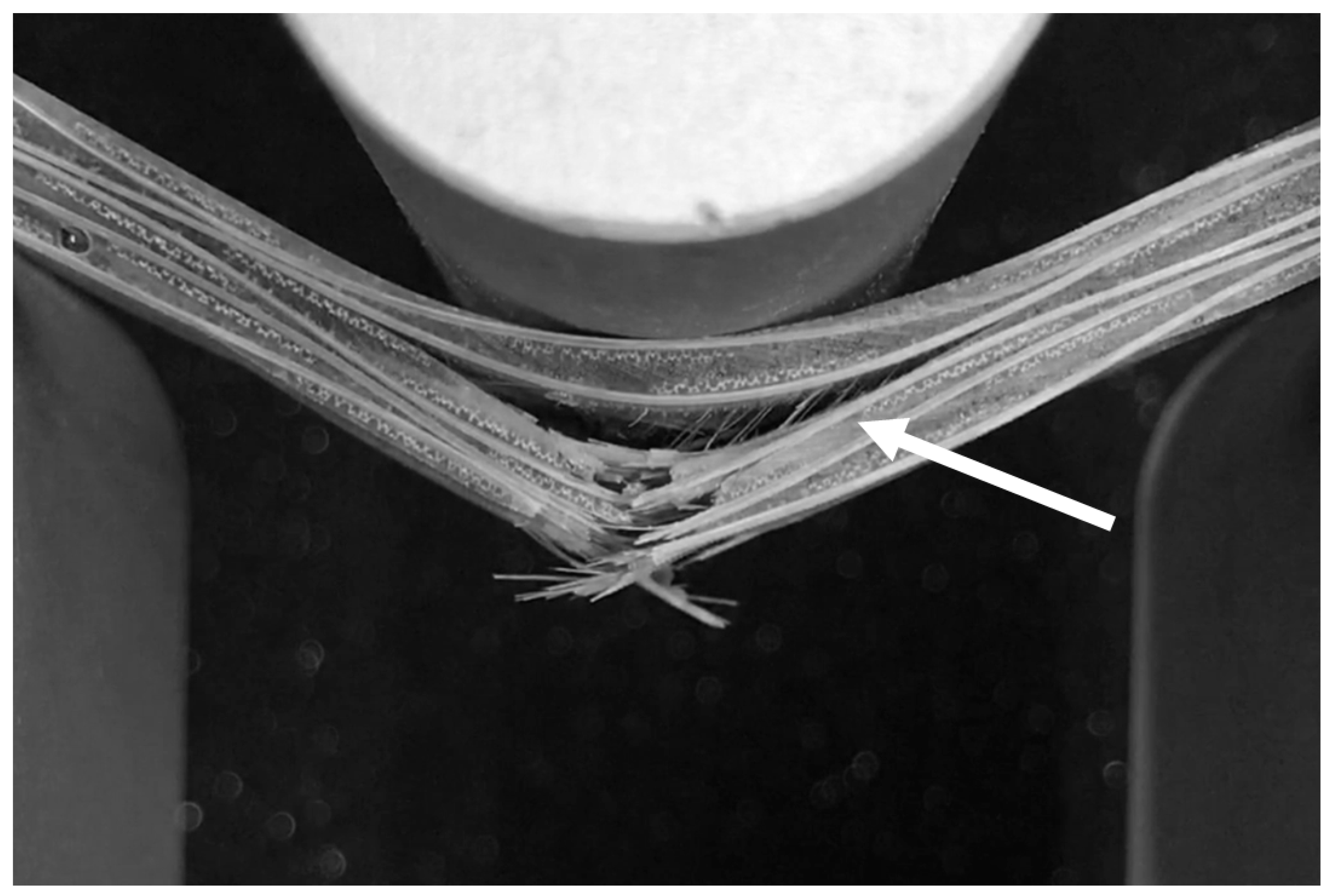 Polymers 13 00634 g006