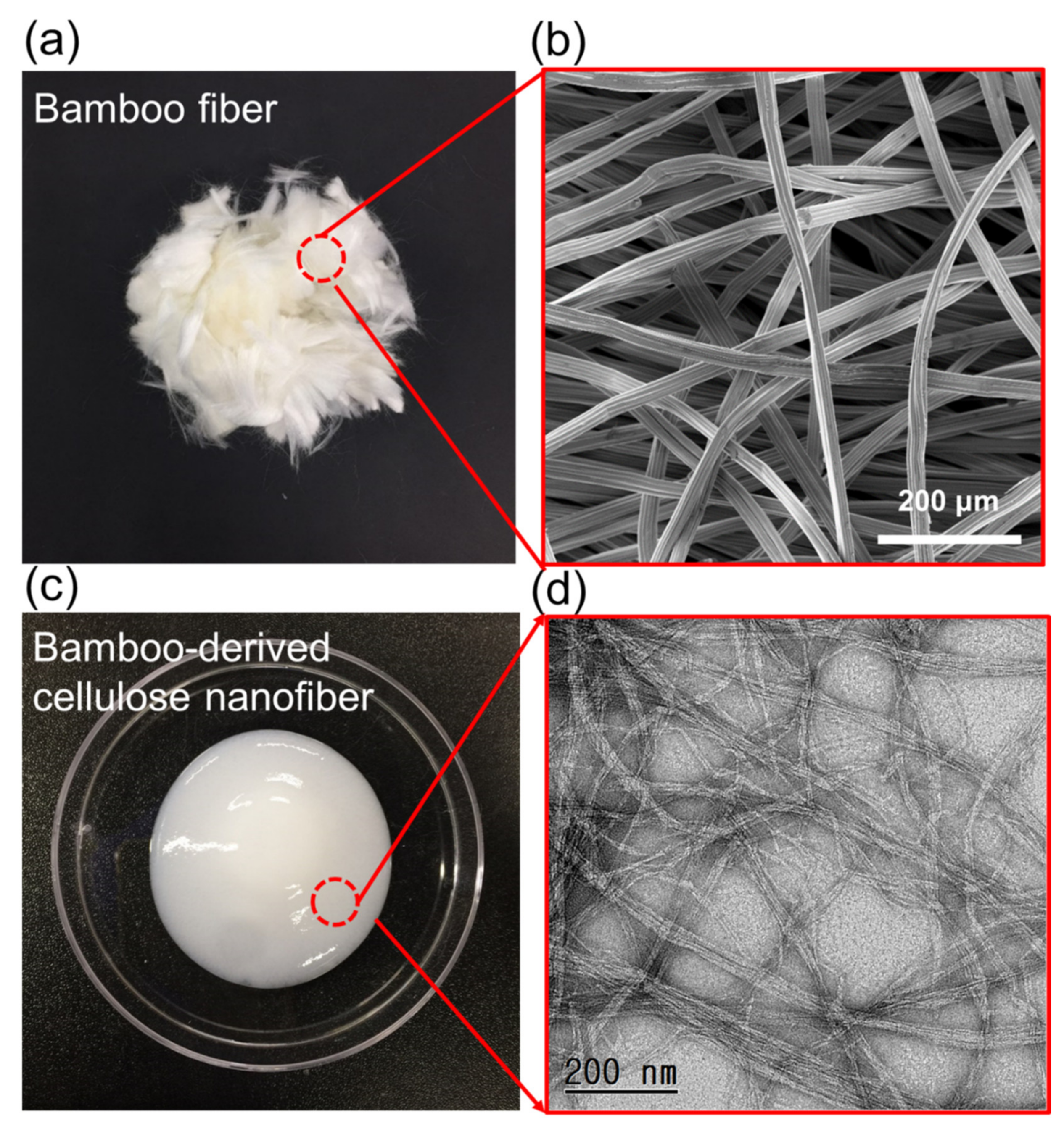 Polymers 13 00636 g001