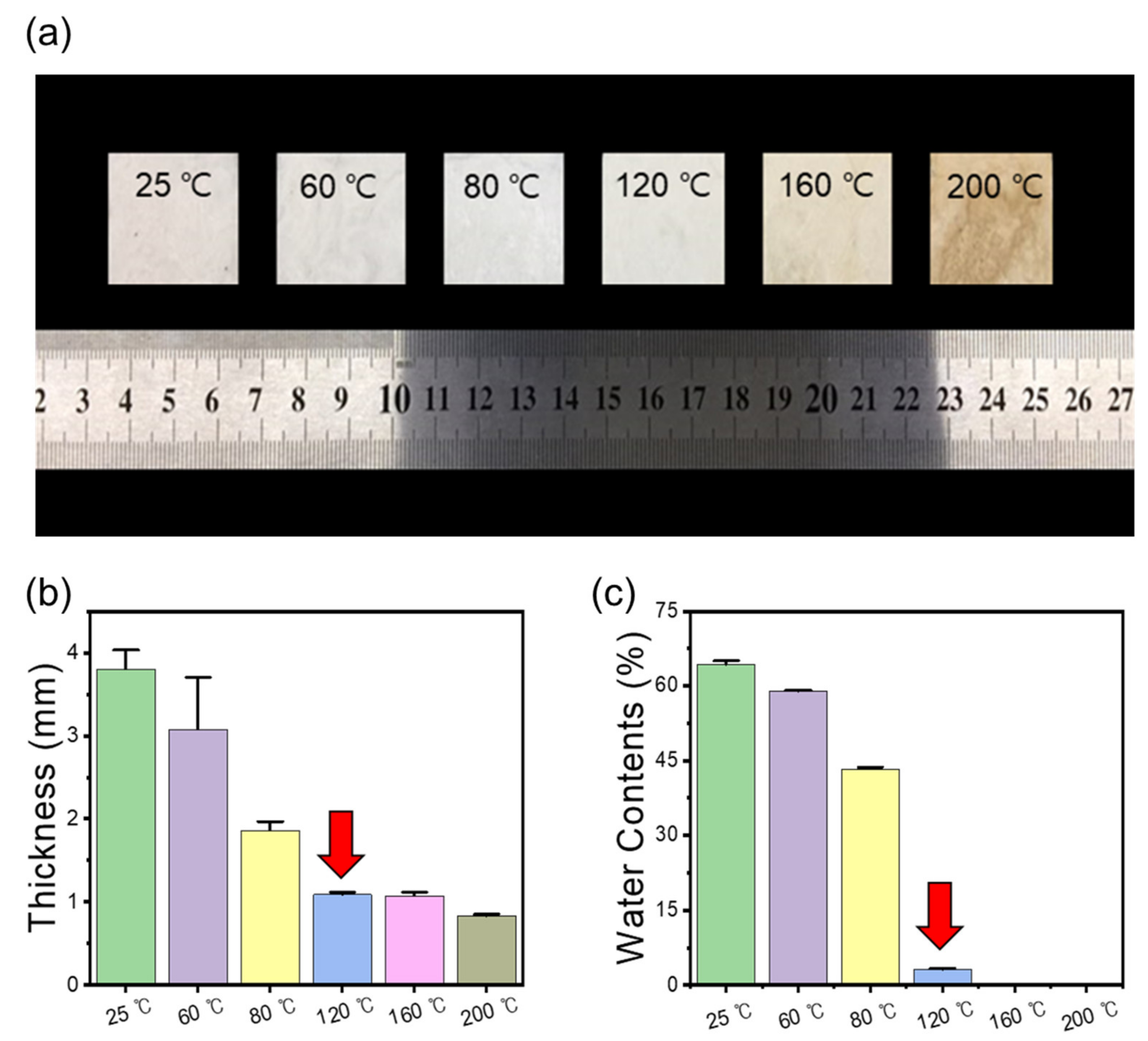 Polymers 13 00636 g002
