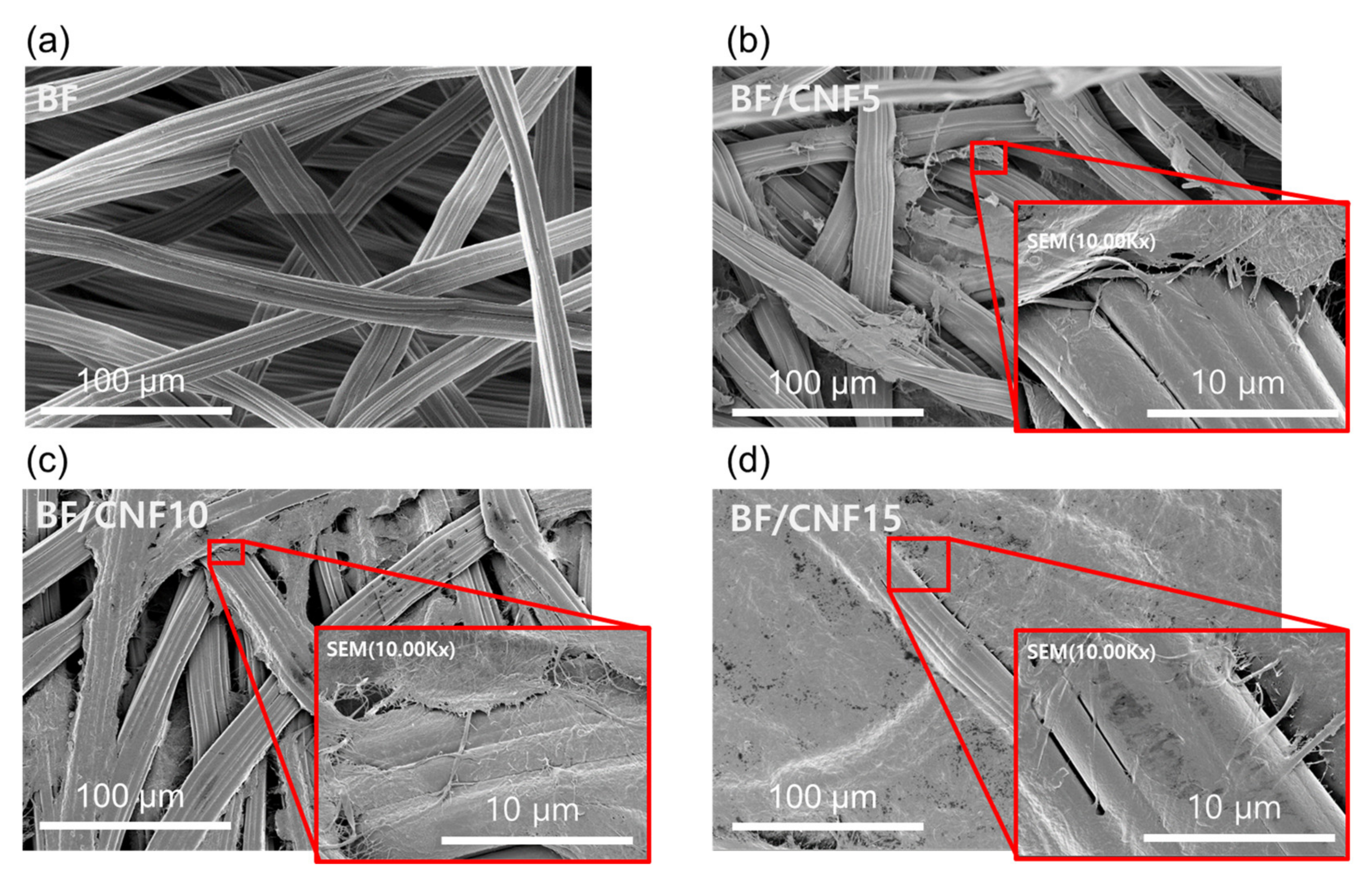 Polymers 13 00636 g006