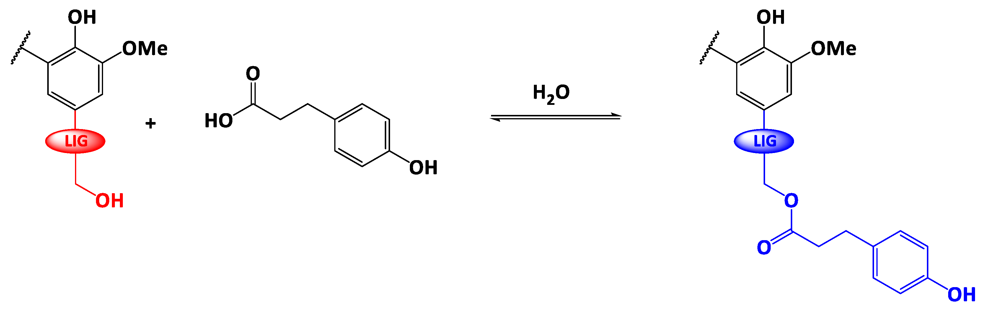 Polymers 13 00637 sch001 Polymers 13 00637 sch001