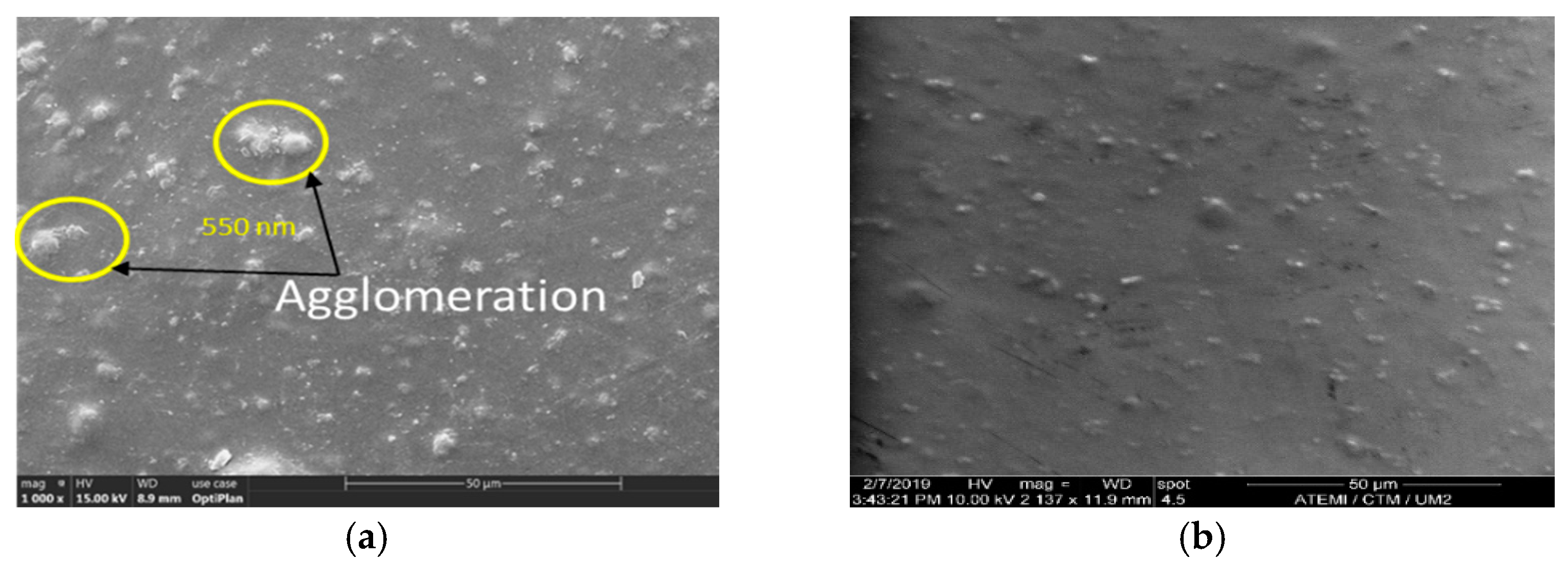 Polymers 13 00640 g003a