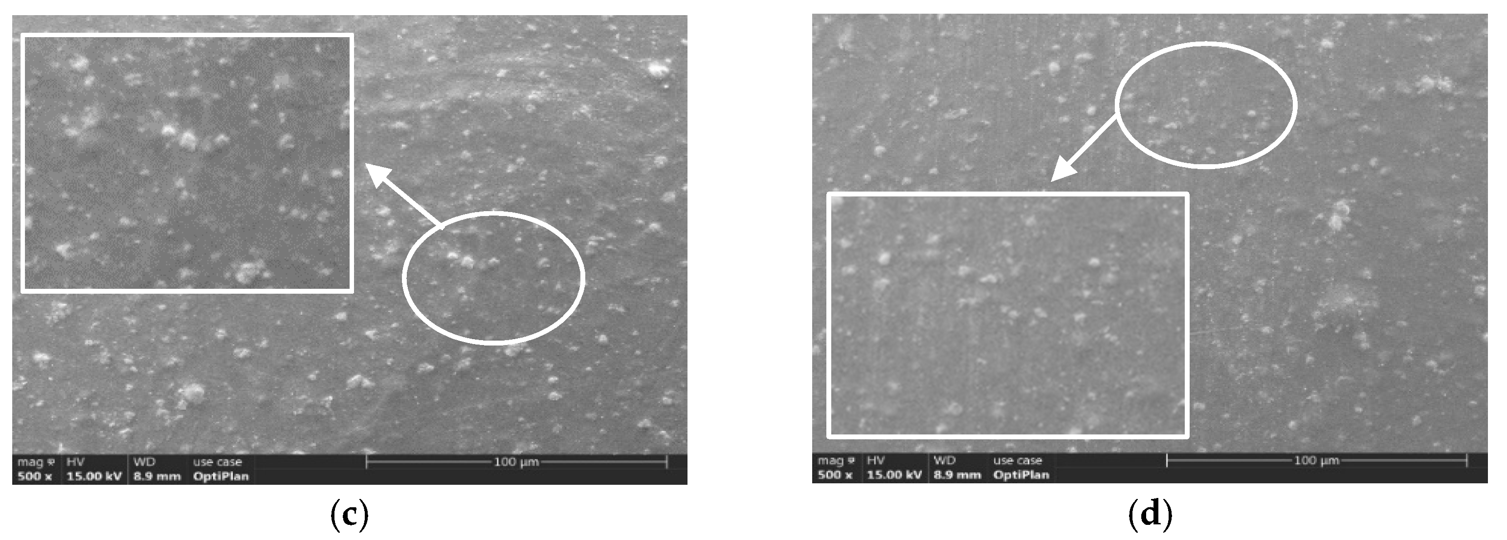 Polymers 13 00640 g003b