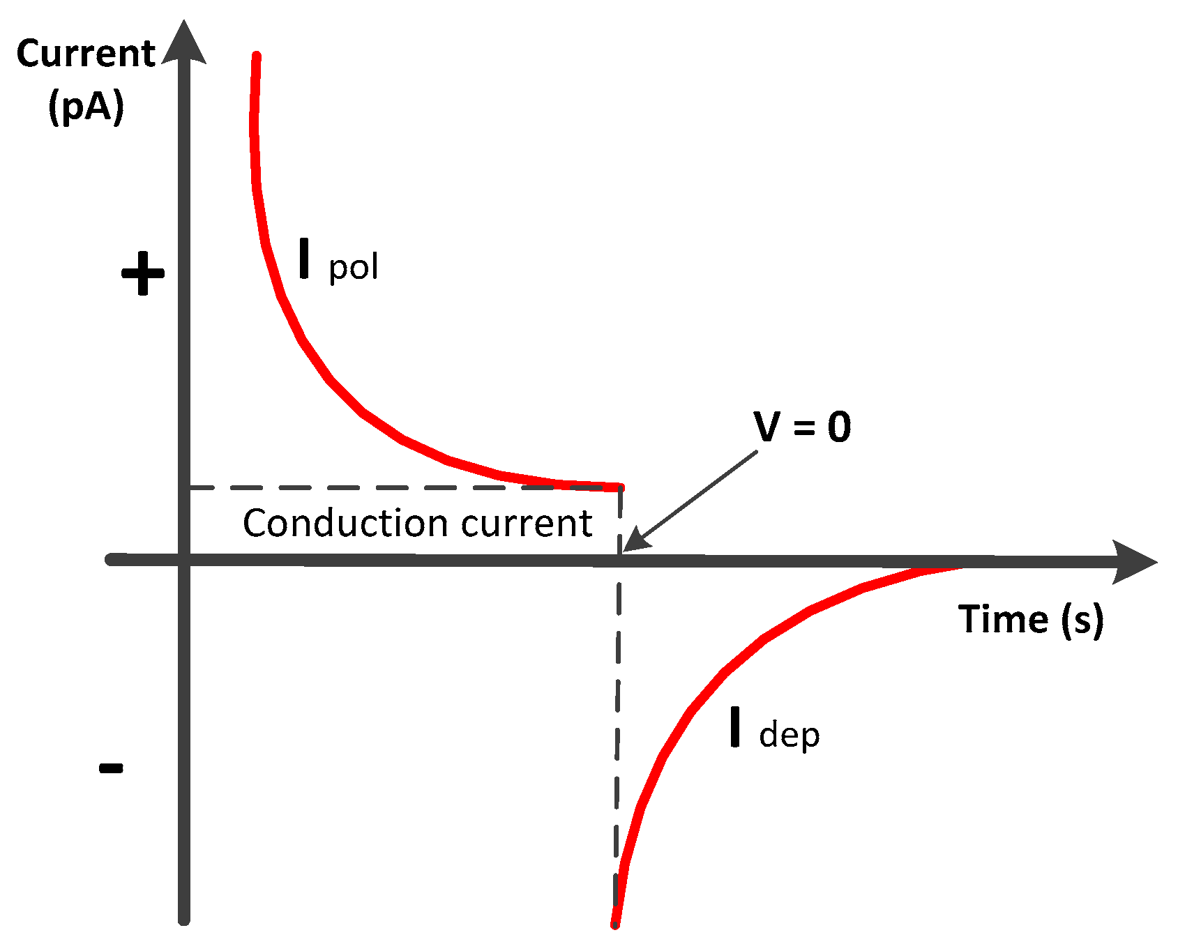 Polymers 13 00640 g005