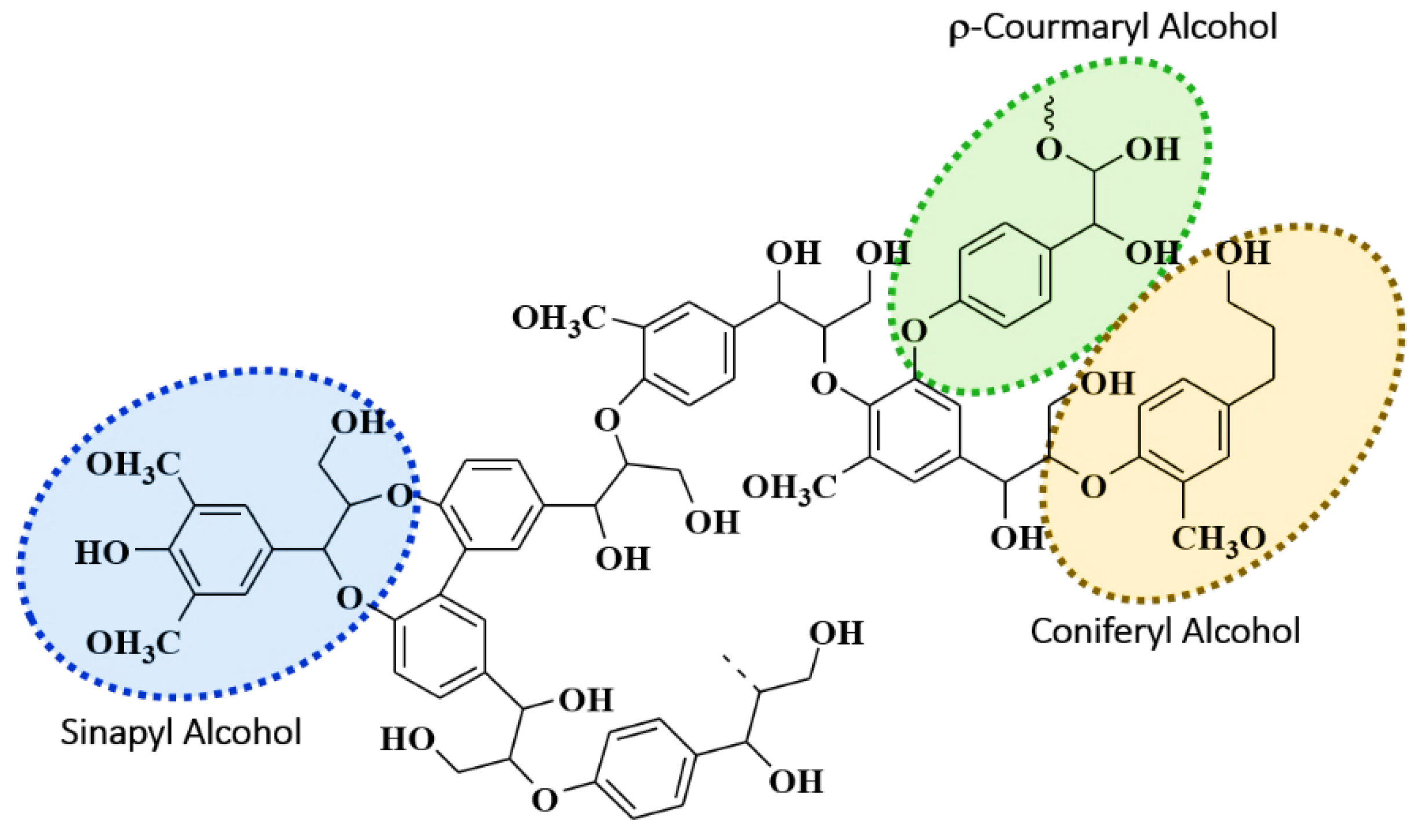 Polymers 13 00643 g001