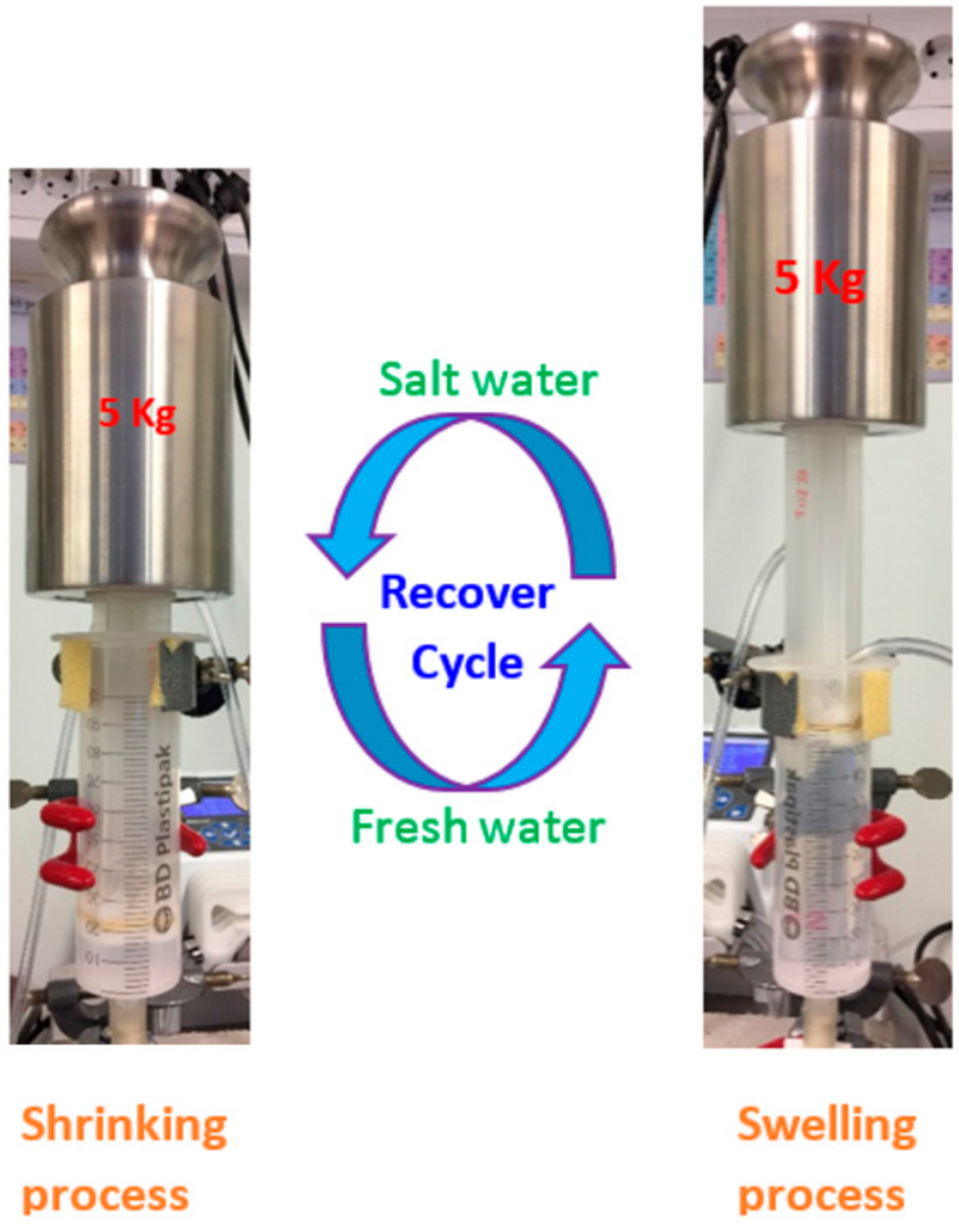 Polymers 13 00645 g001