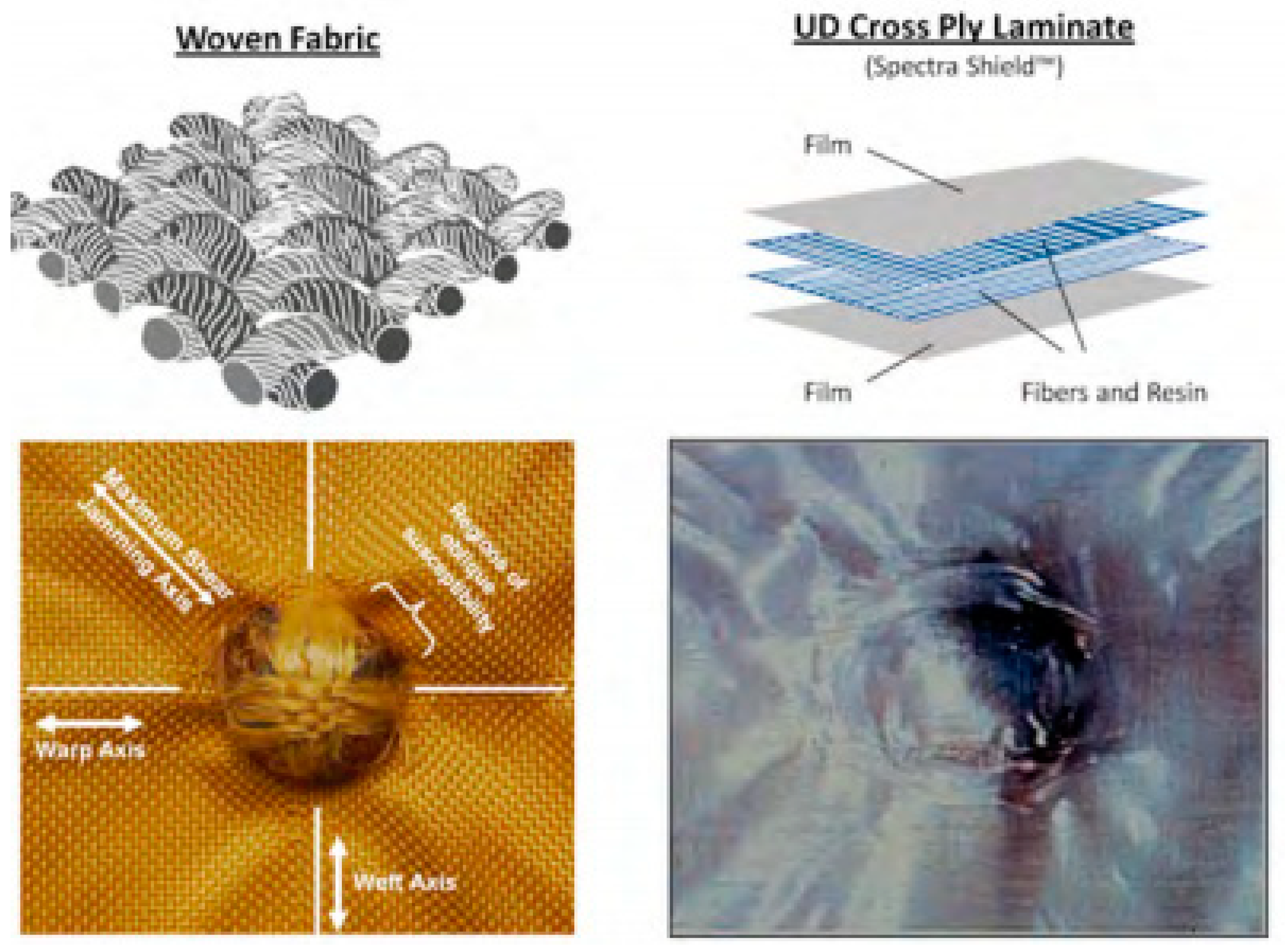 Polymers 13 00646 g002