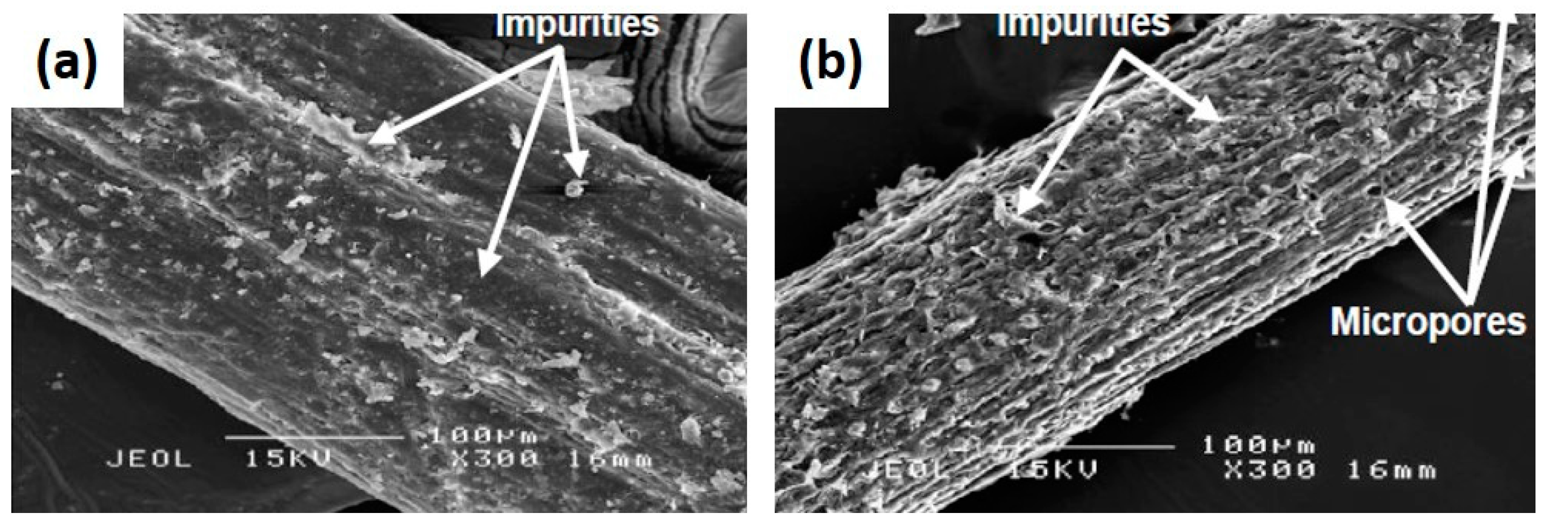 Polymers 13 00646 g007
