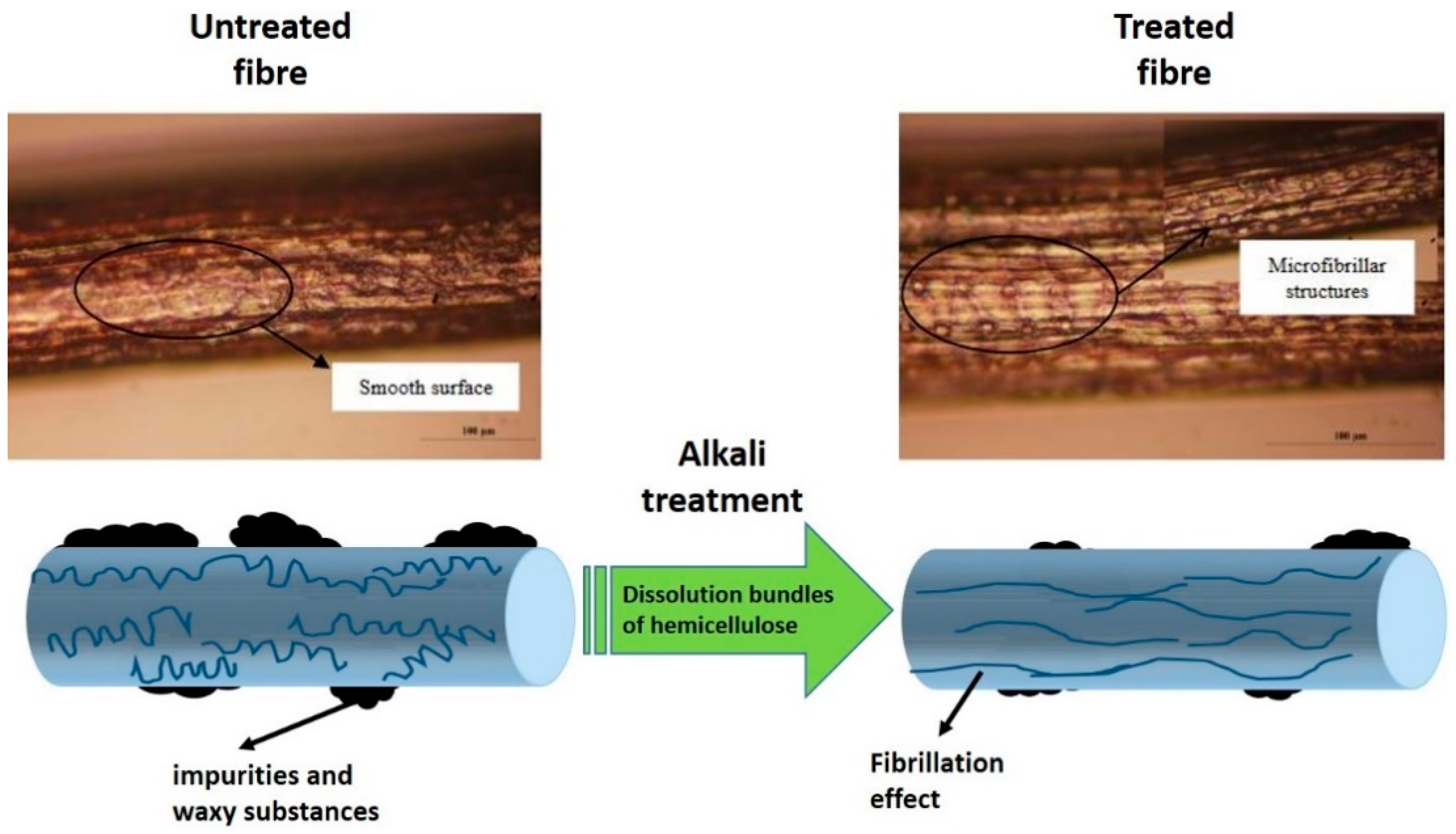 Polymers 13 00646 g008