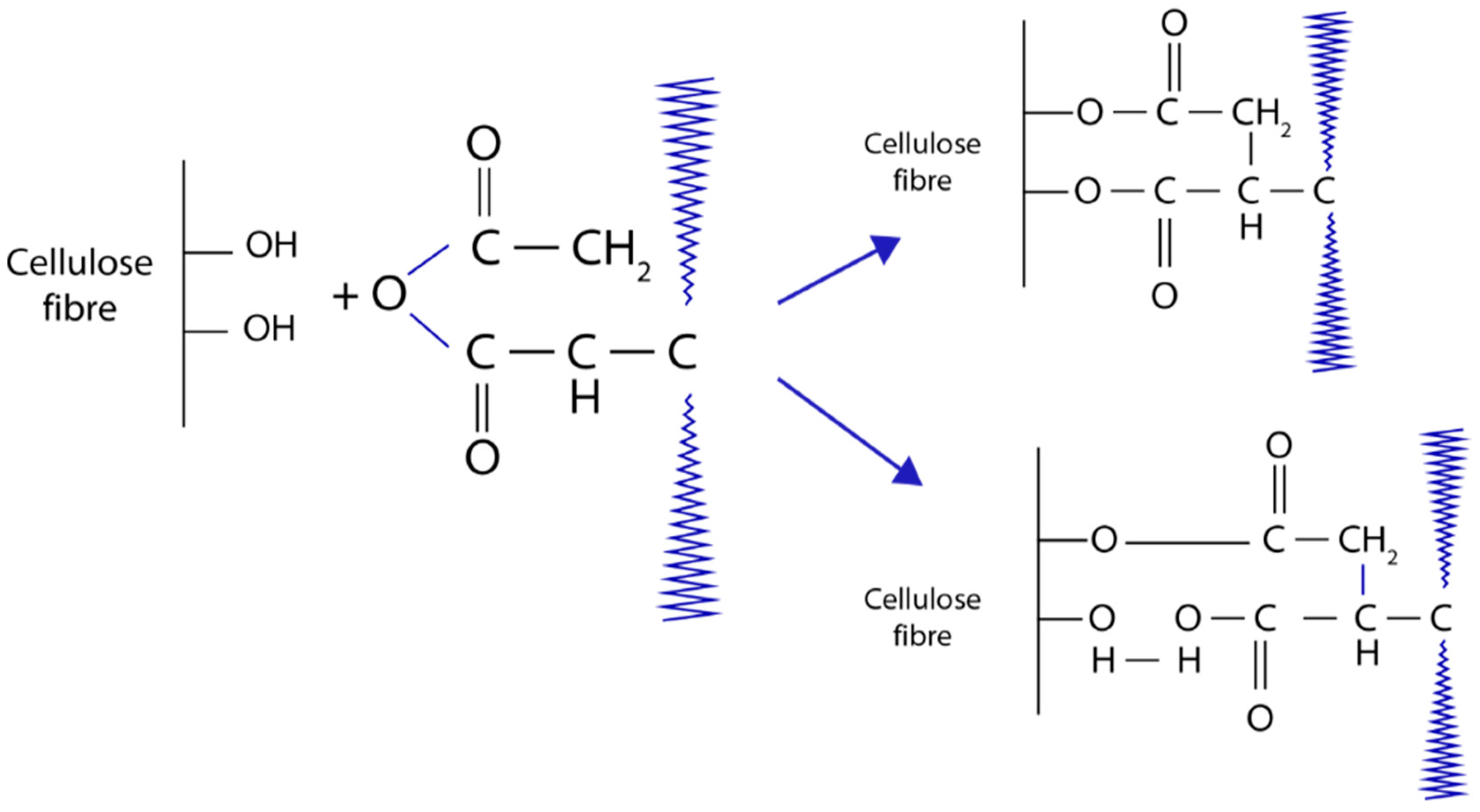 Polymers 13 00646 g011