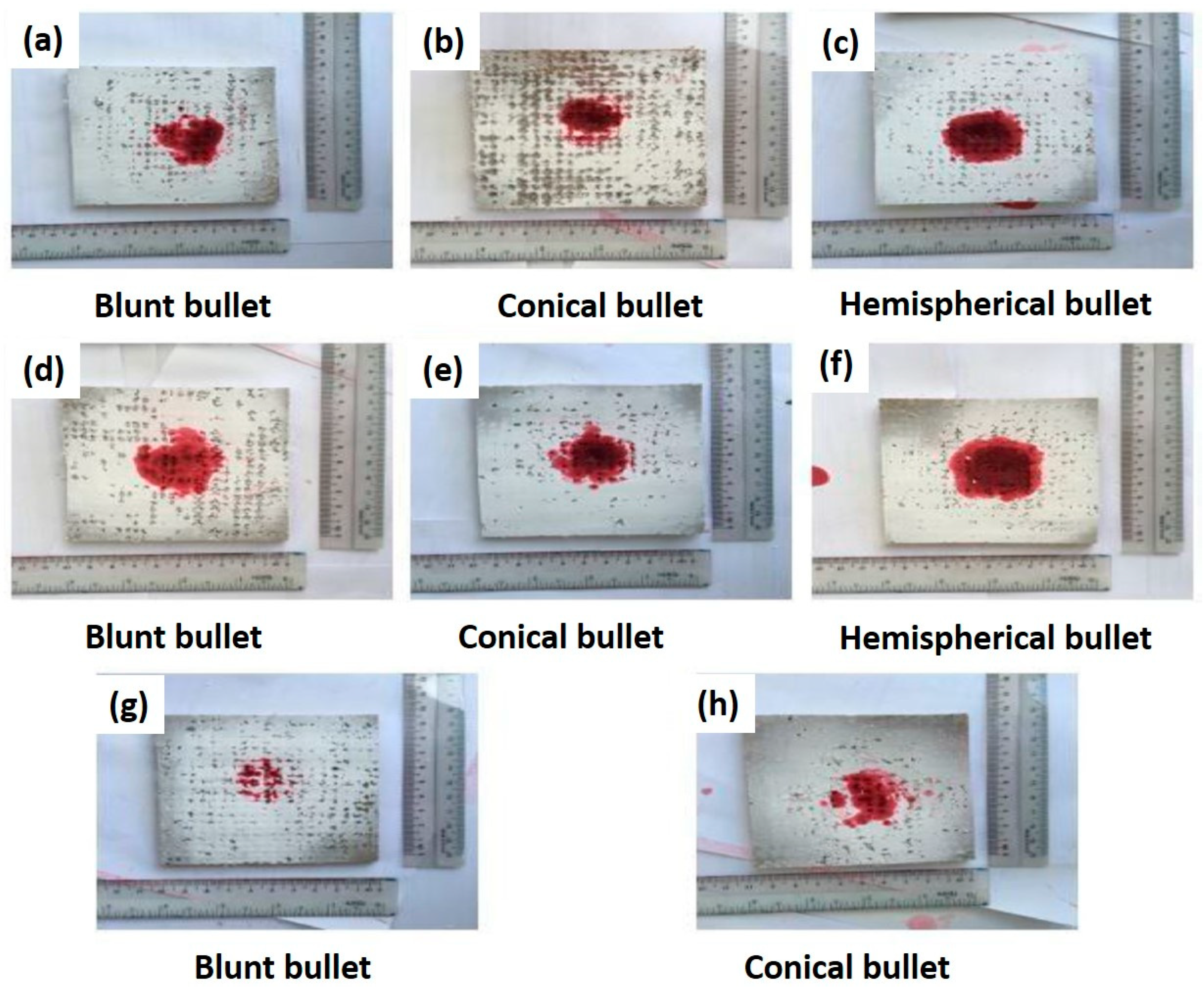 Polymers 13 00646 g013