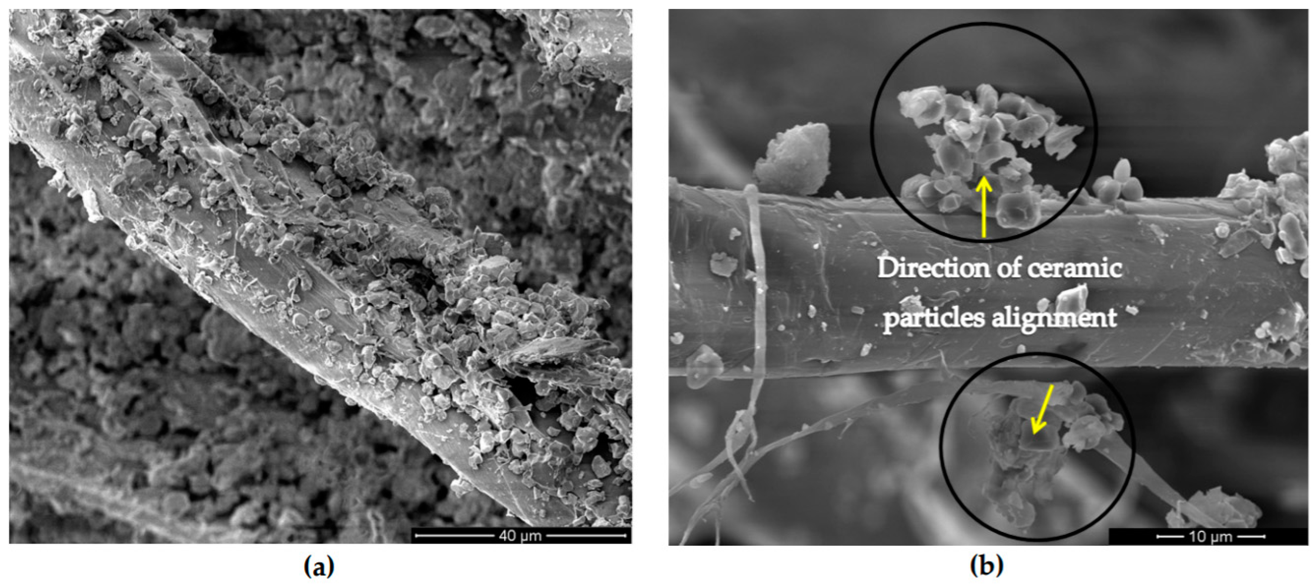 Polymers 13 00646 g018