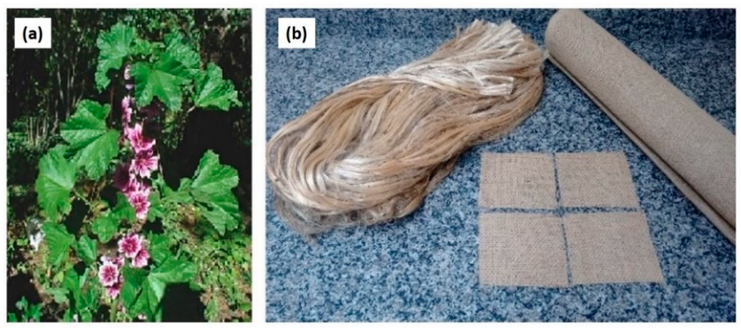 Polymers 13 00646 g022