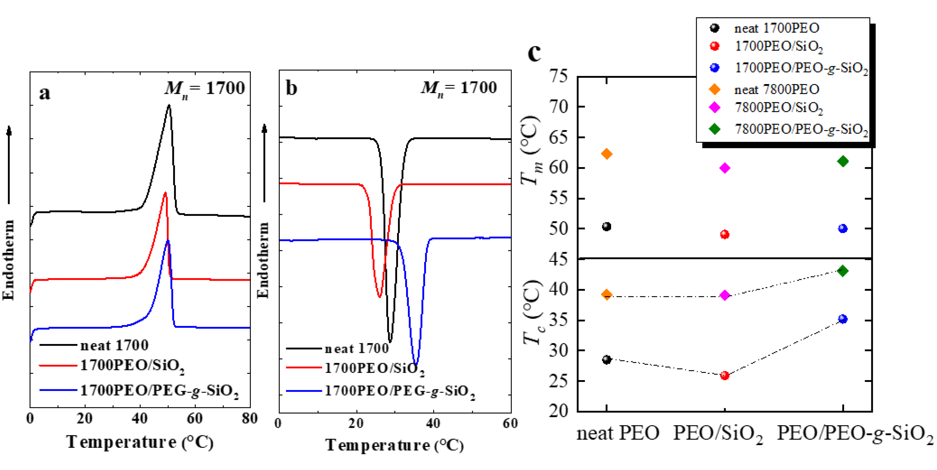 Polymers 13 00648 g001