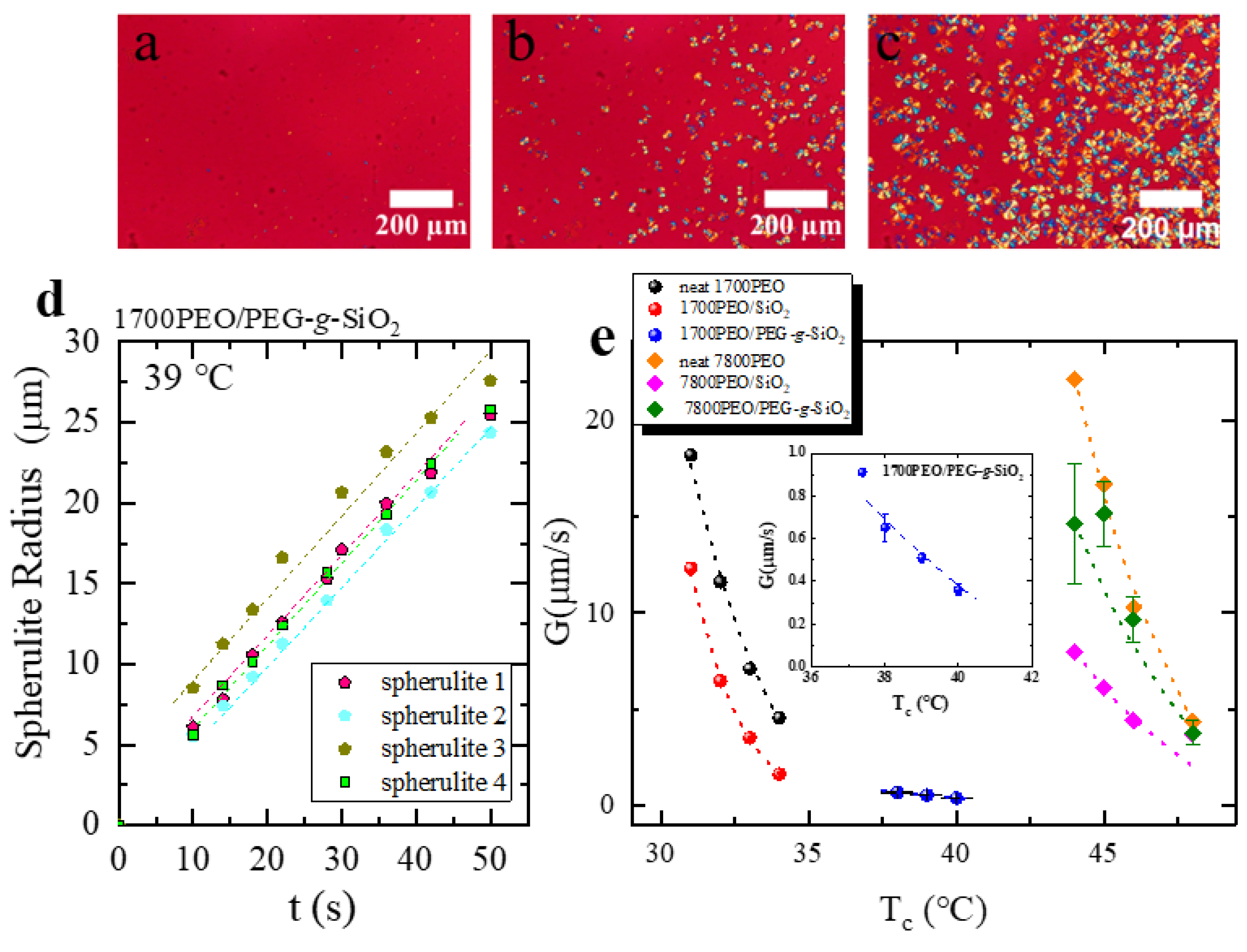 Polymers 13 00648 g003