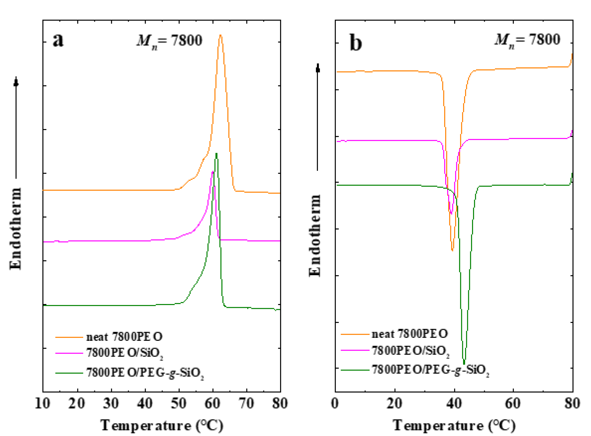 Polymers 13 00648 g0a1