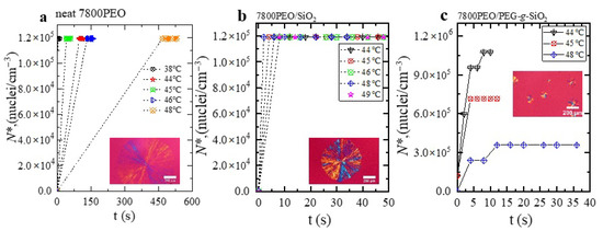 Polymers 13 00648 g0a2 550