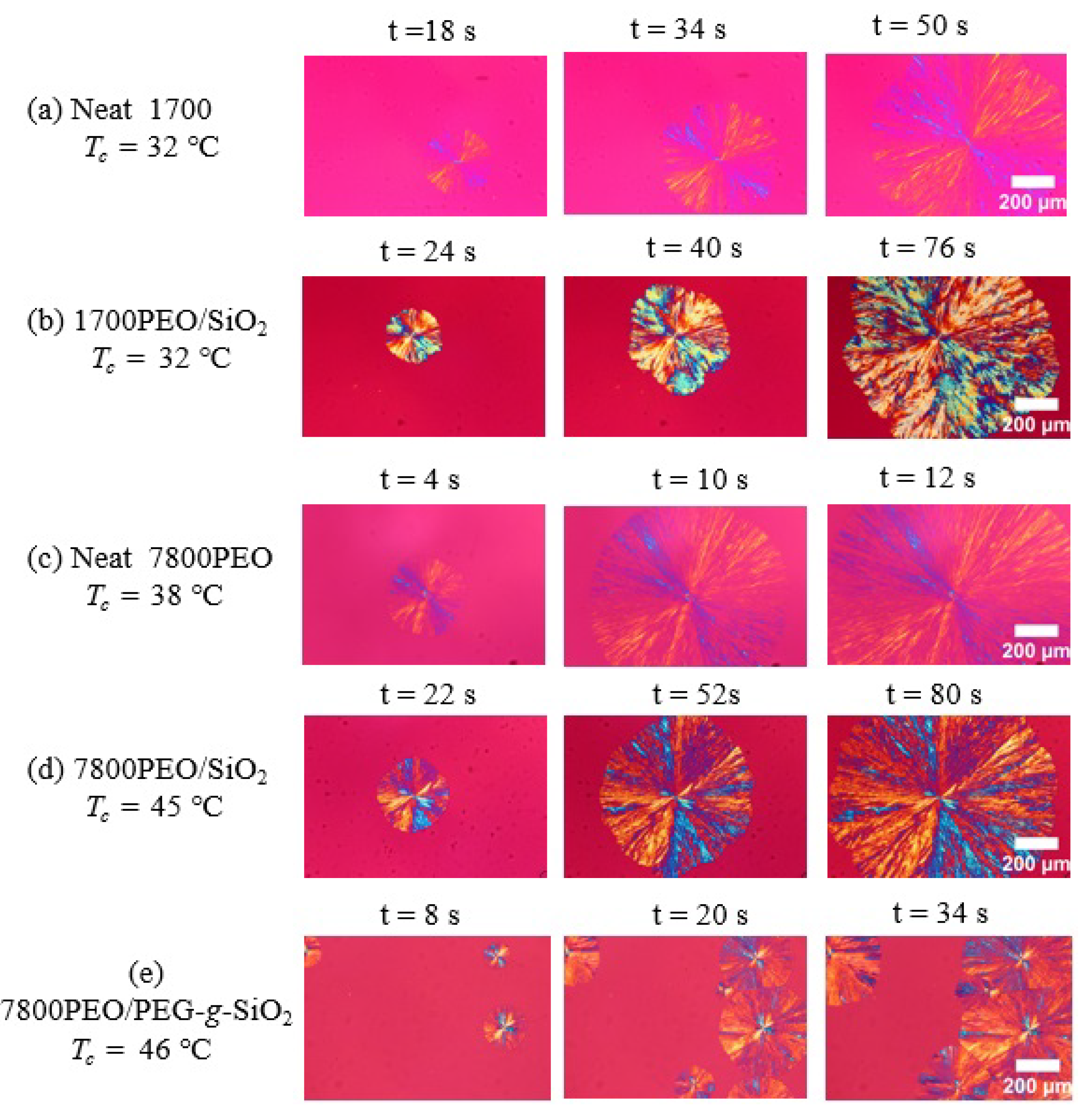 Polymers 13 00648 g0a4