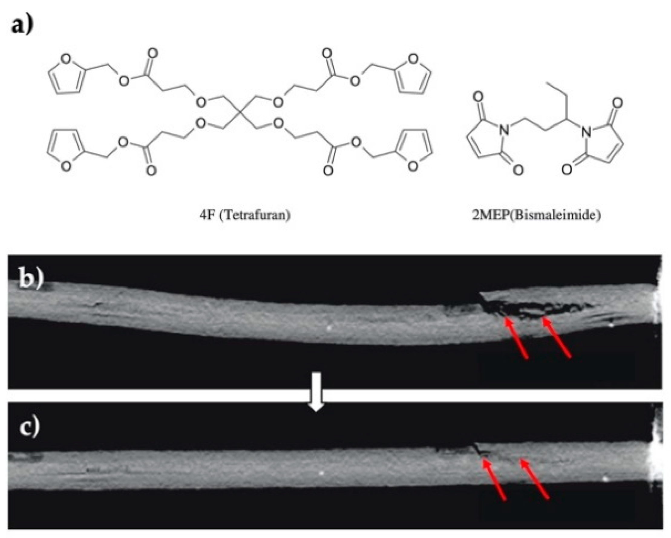 Polymers 13 00649 g005