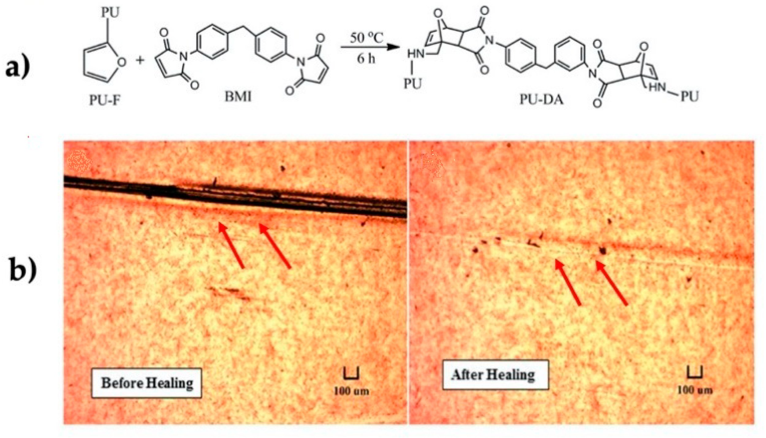 Polymers 13 00649 g006
