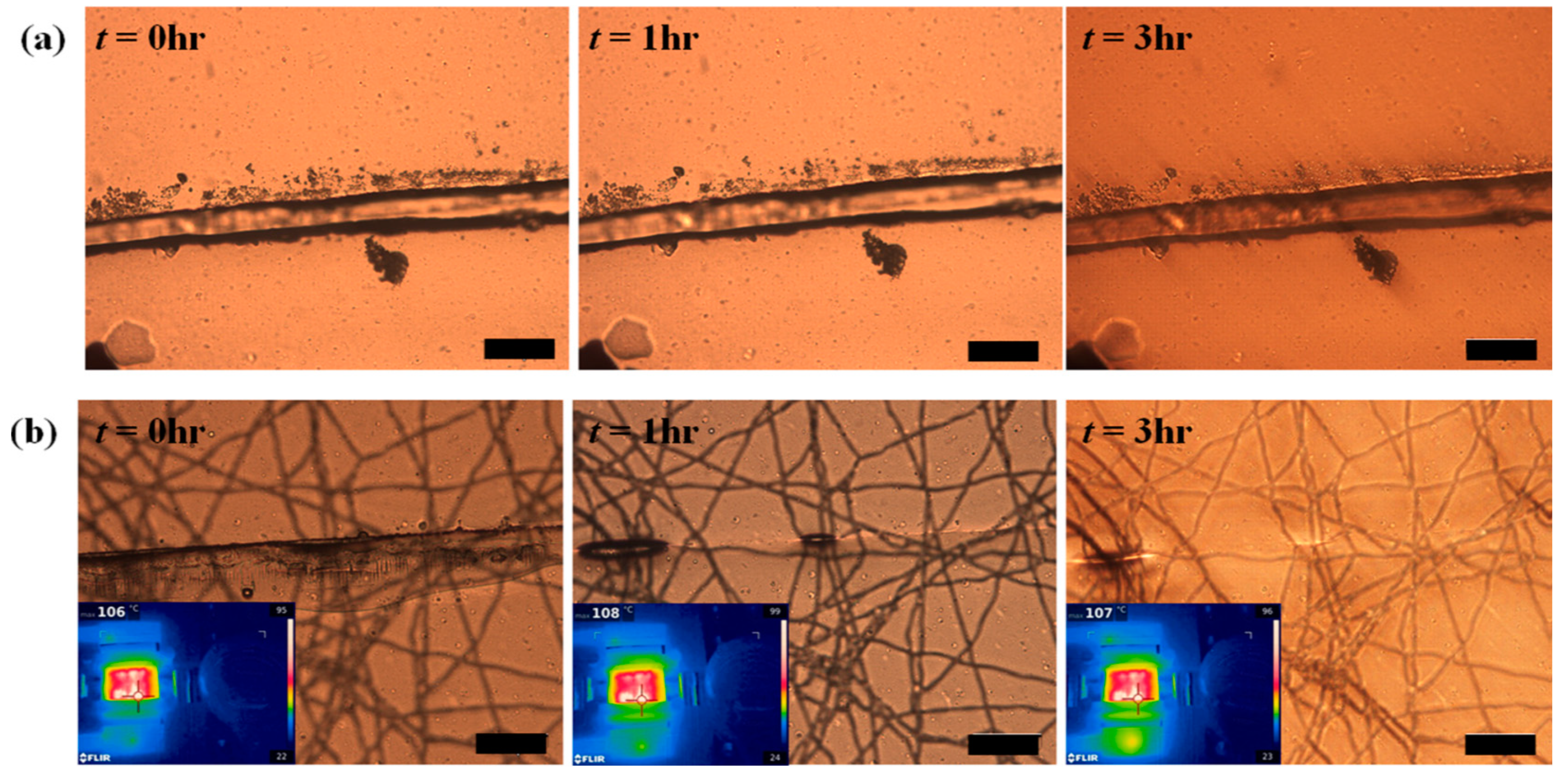 Polymers 13 00649 g011
