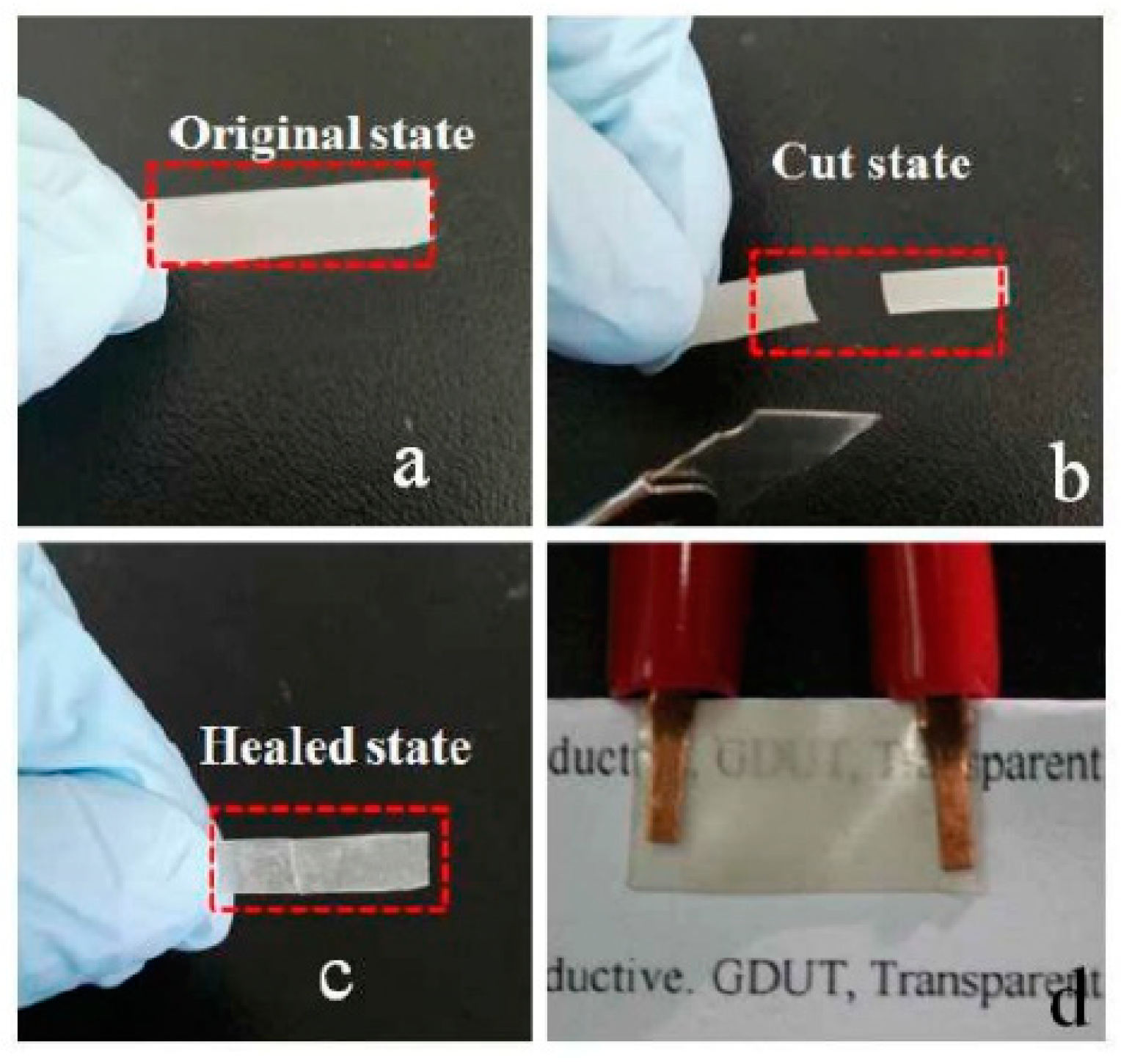 Polymers 13 00649 g013