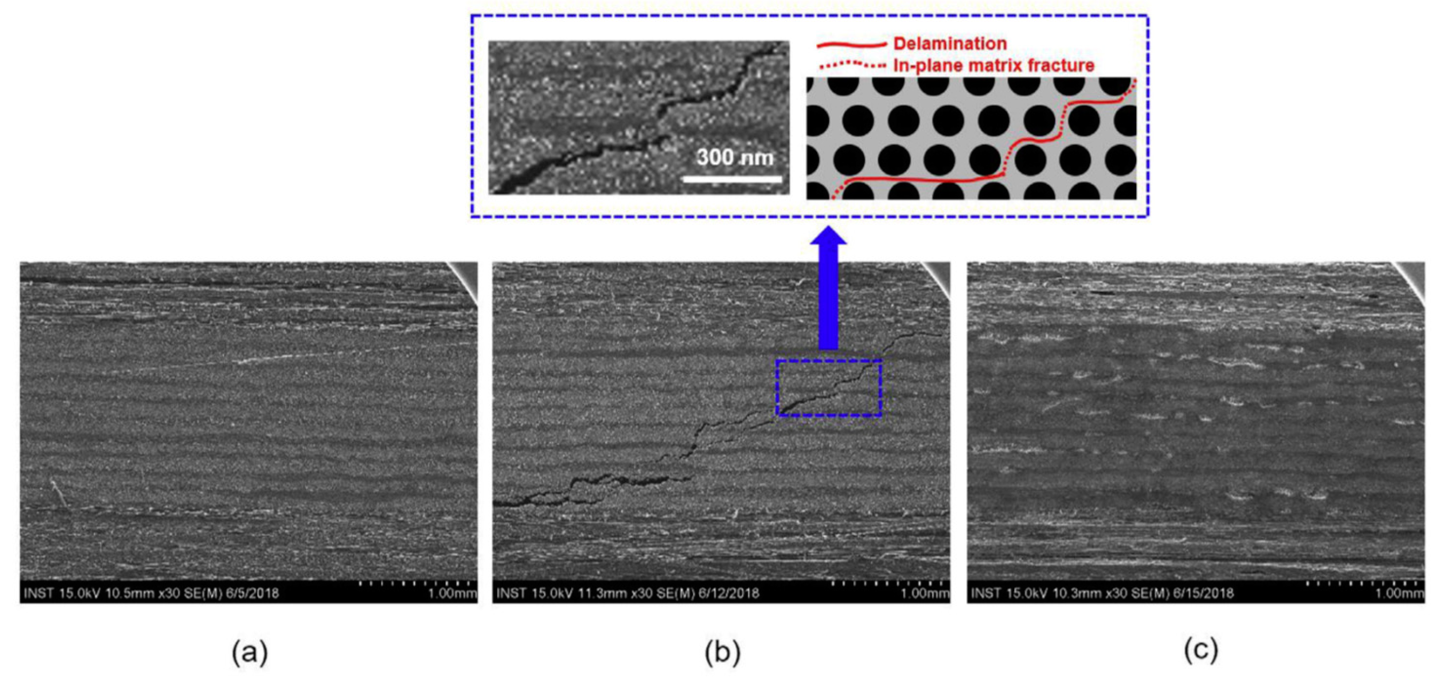 Polymers 13 00649 g014