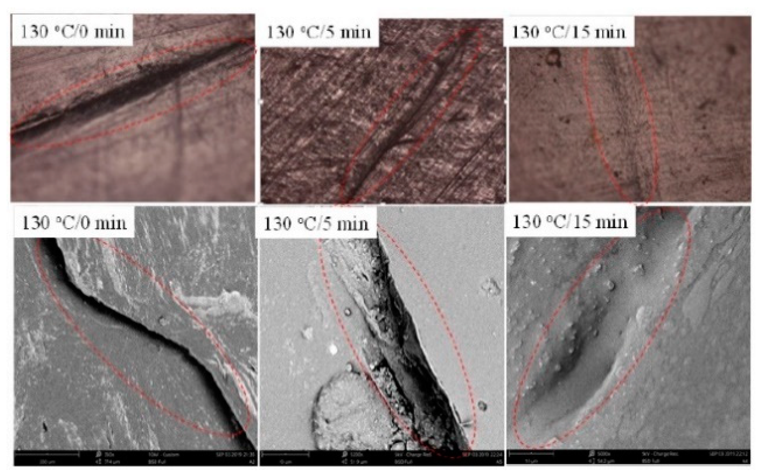 Polymers 13 00649 g015