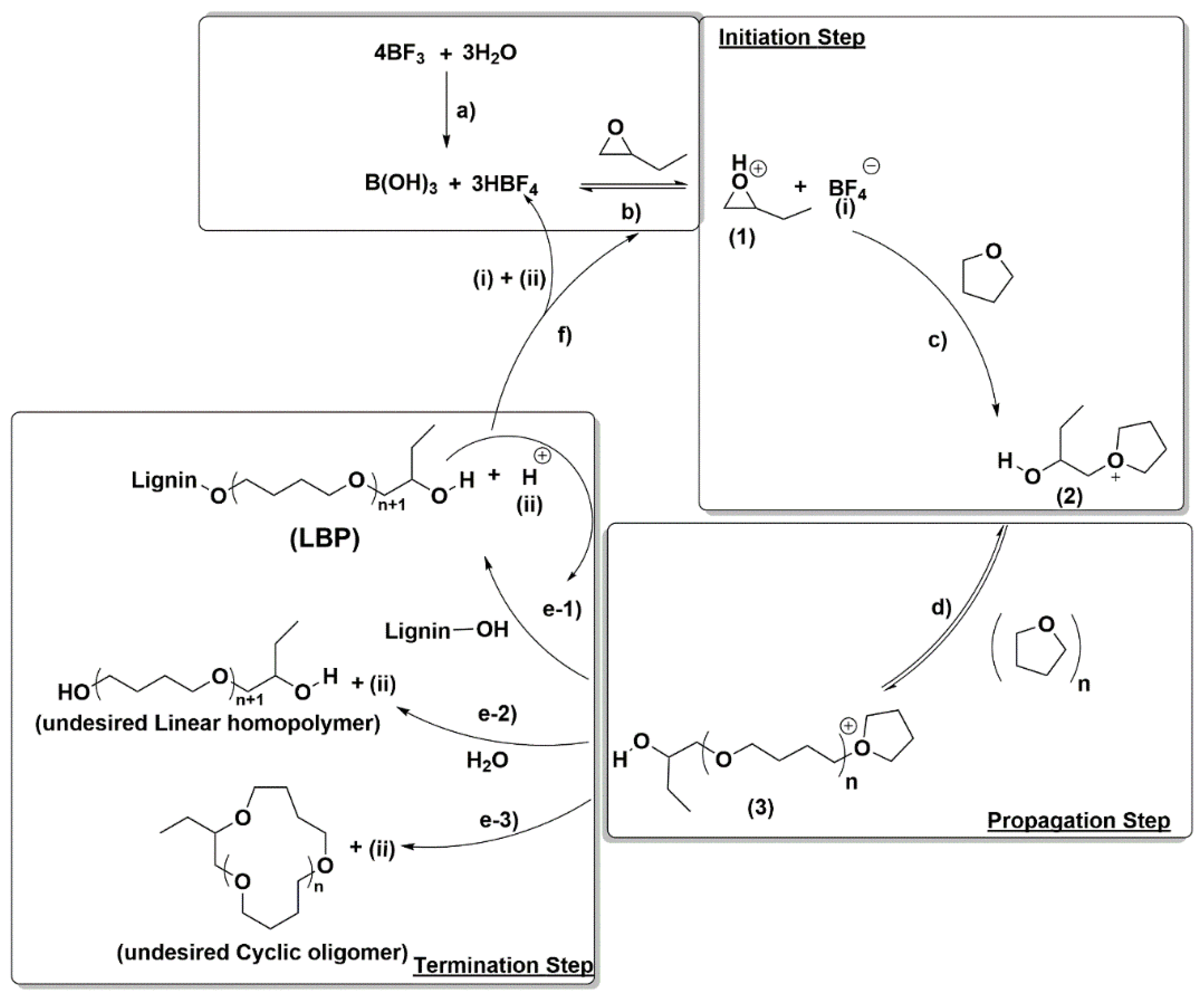 Polymers 13 00651 sch002