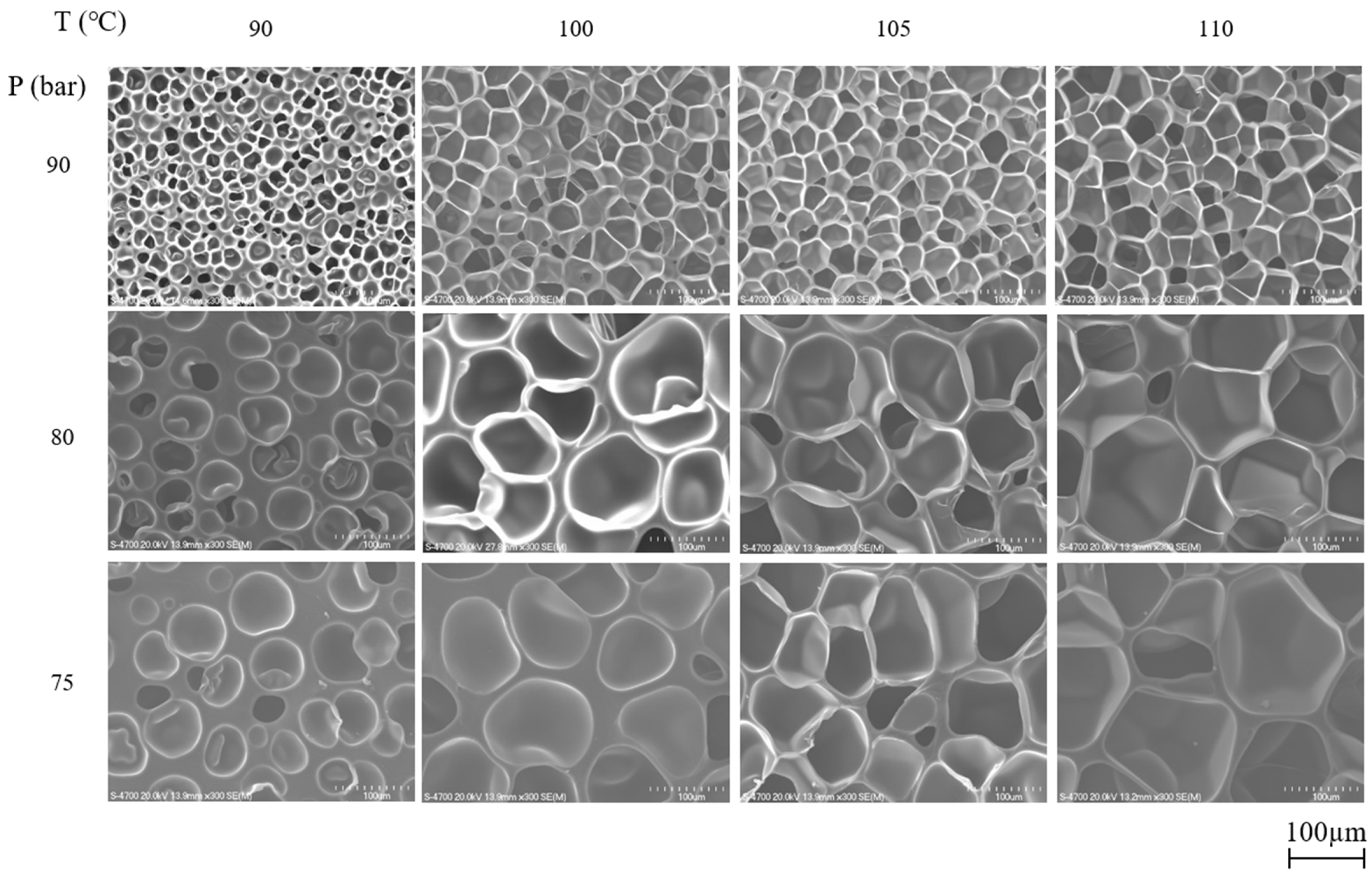 Polymers 13 00656 g002 Polymers 13 00656 g002