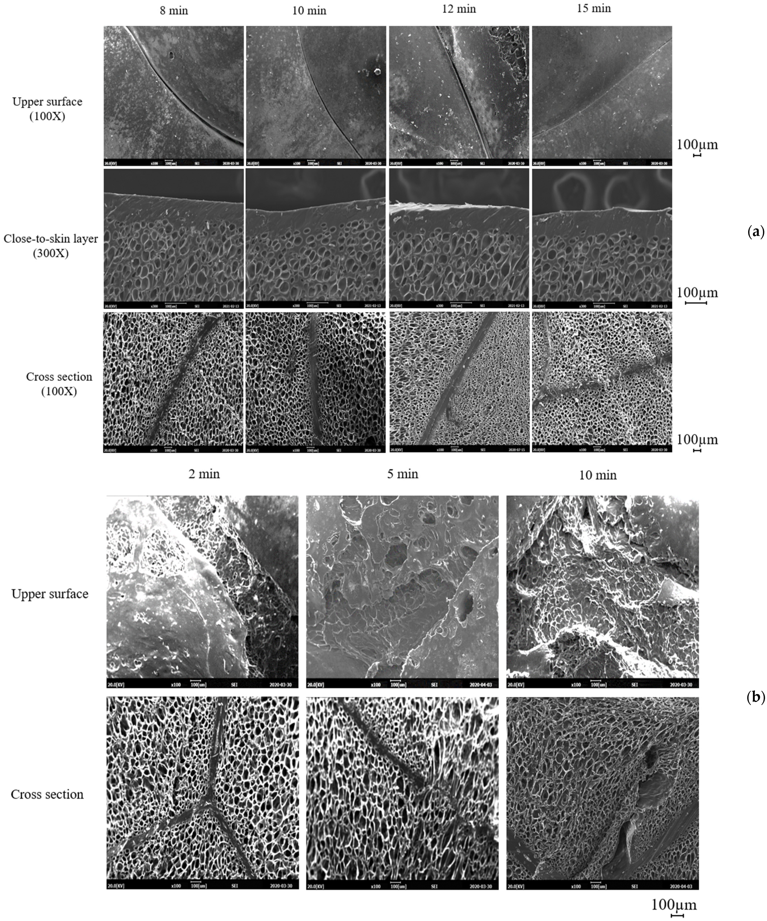 Polymers 13 00656 g006 Polymers 13 00656 g006