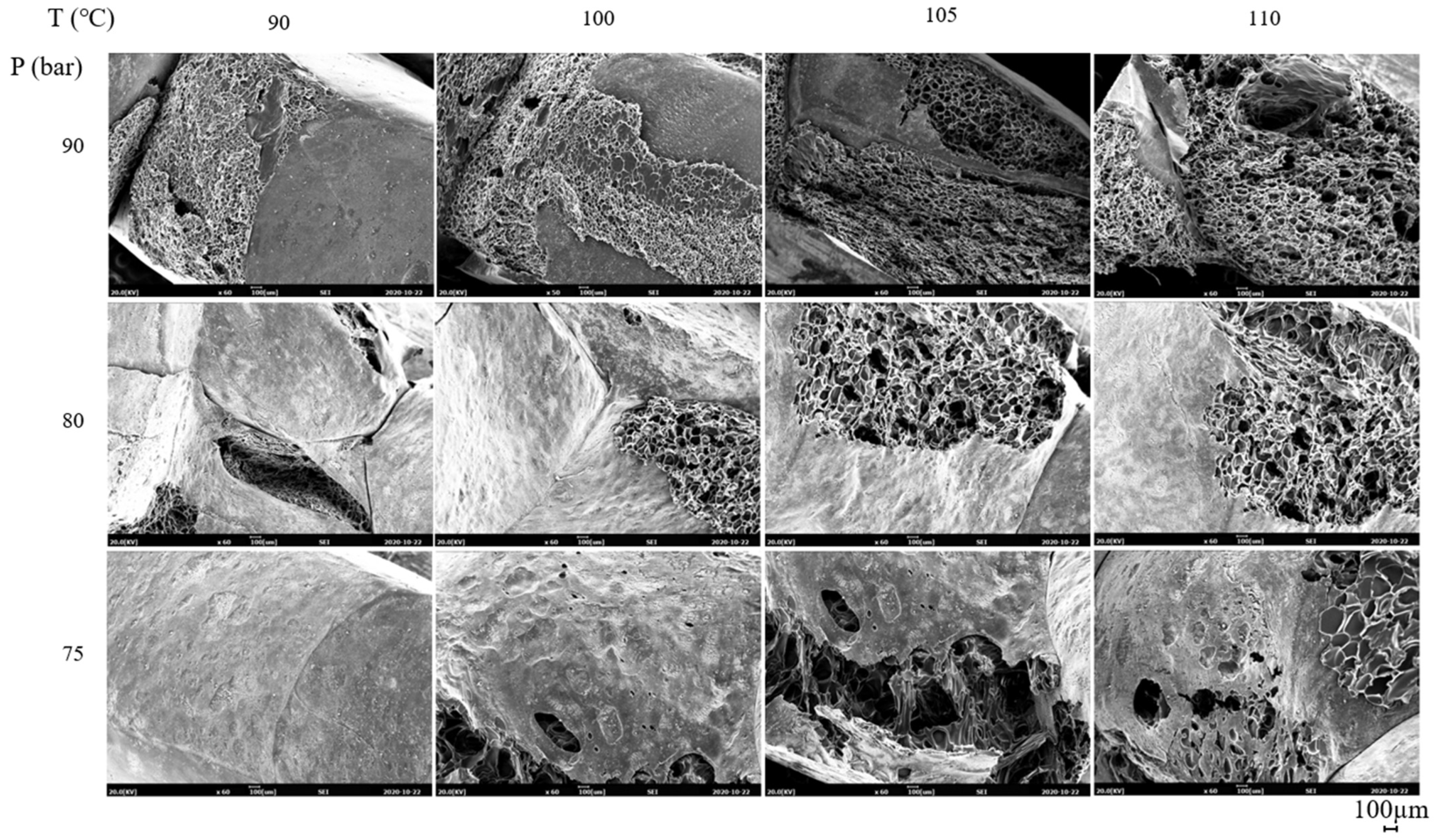 Polymers 13 00656 g012 Polymers 13 00656 g012