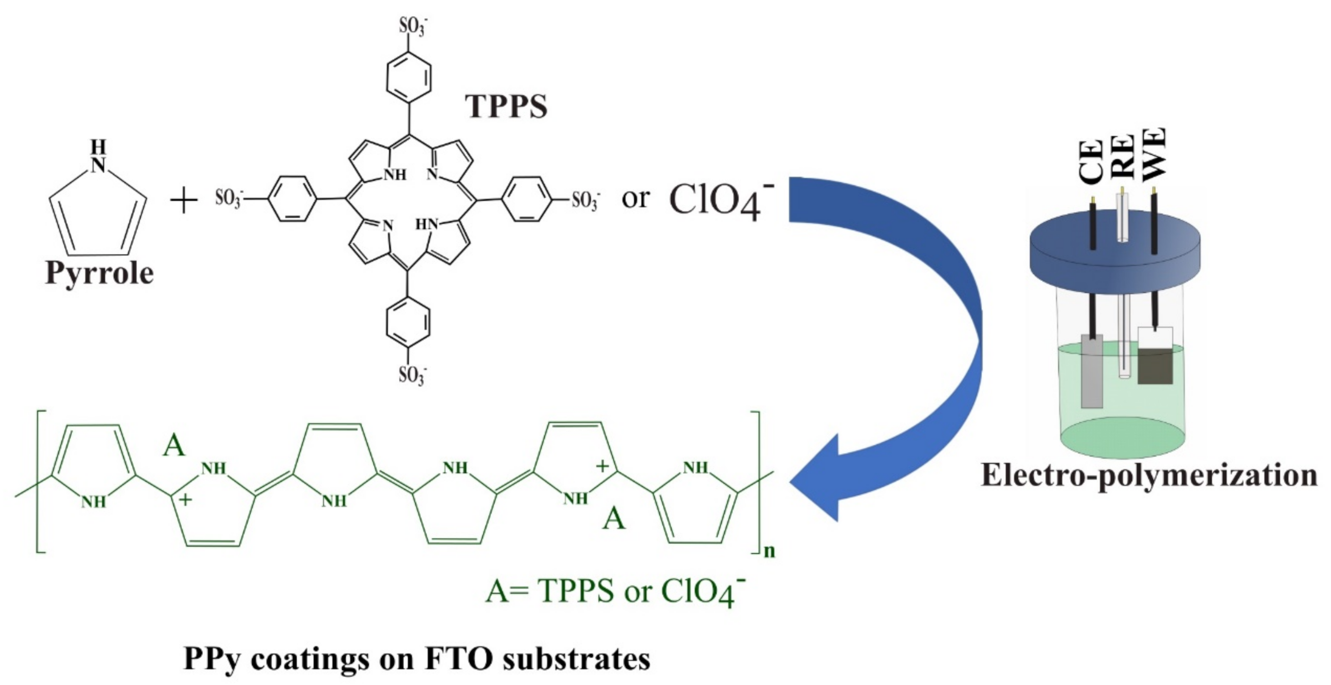 Polymers 13 00657 g001
