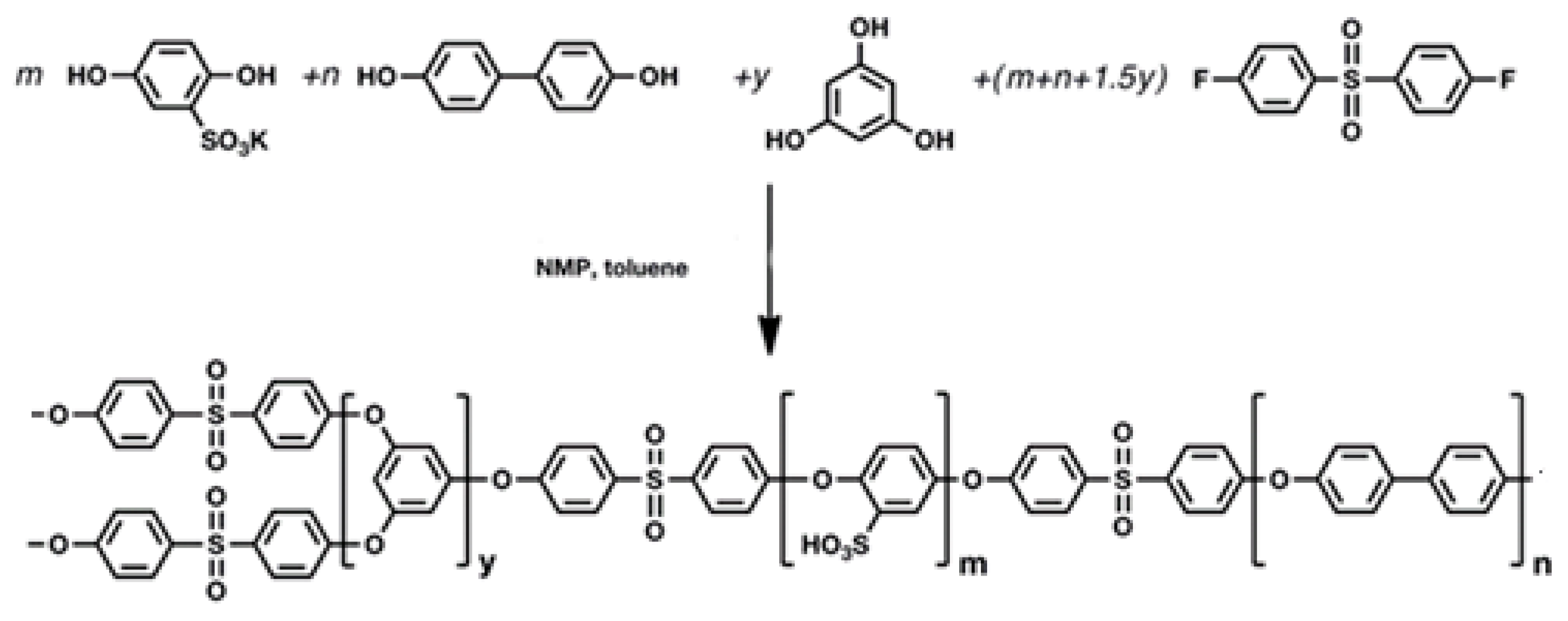 Polymers 13 00658 g001