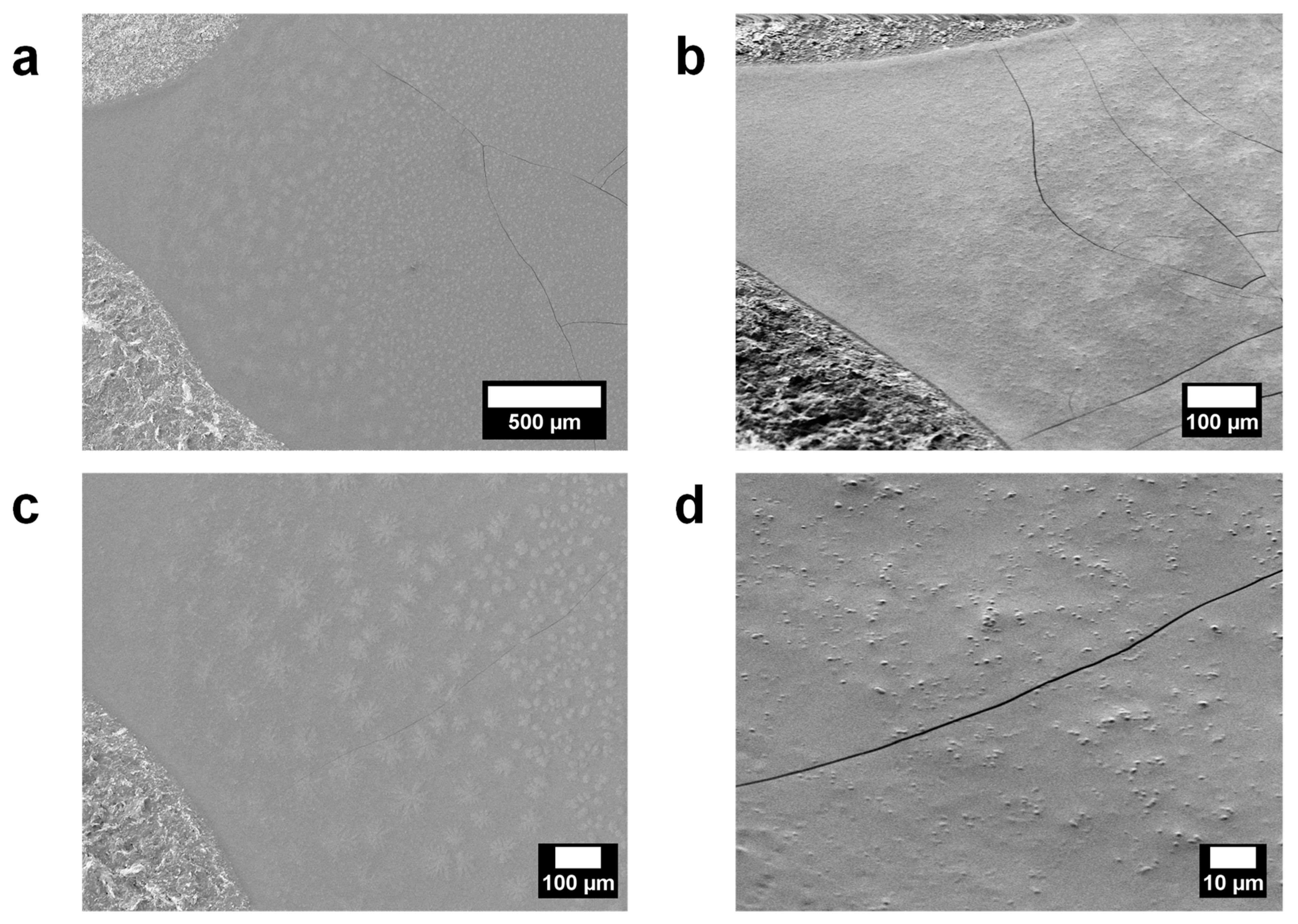 Polymers 13 00658 g007
