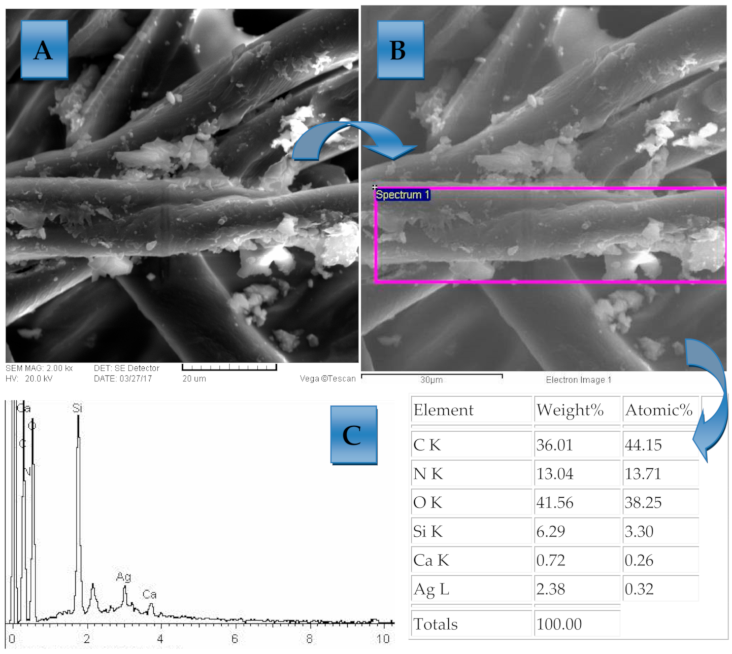 Polymers 13 00659 g005