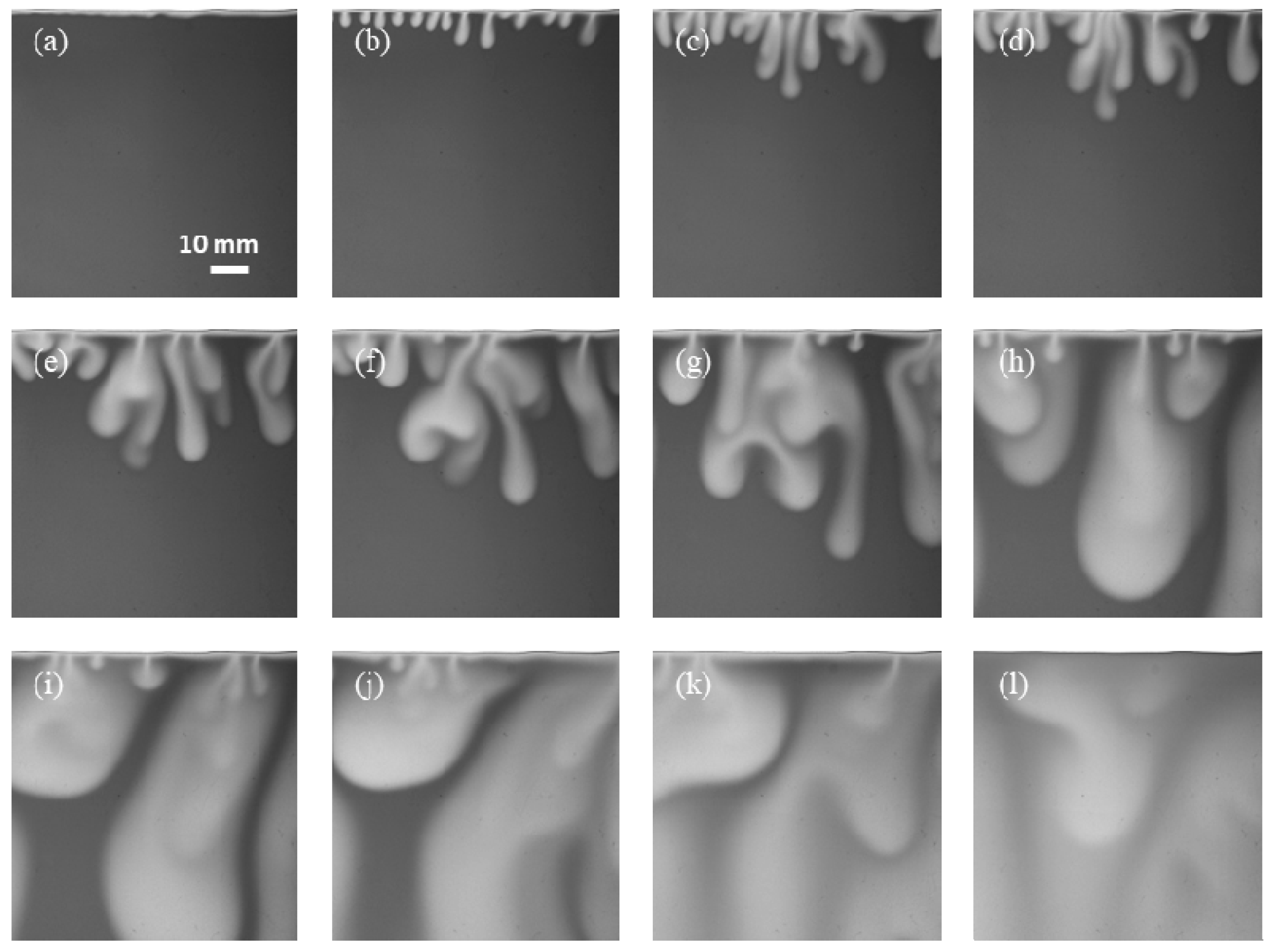 Polymers 13 00661 g003