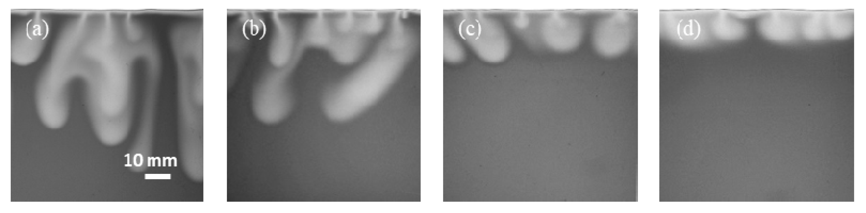 Polymers 13 00661 g005