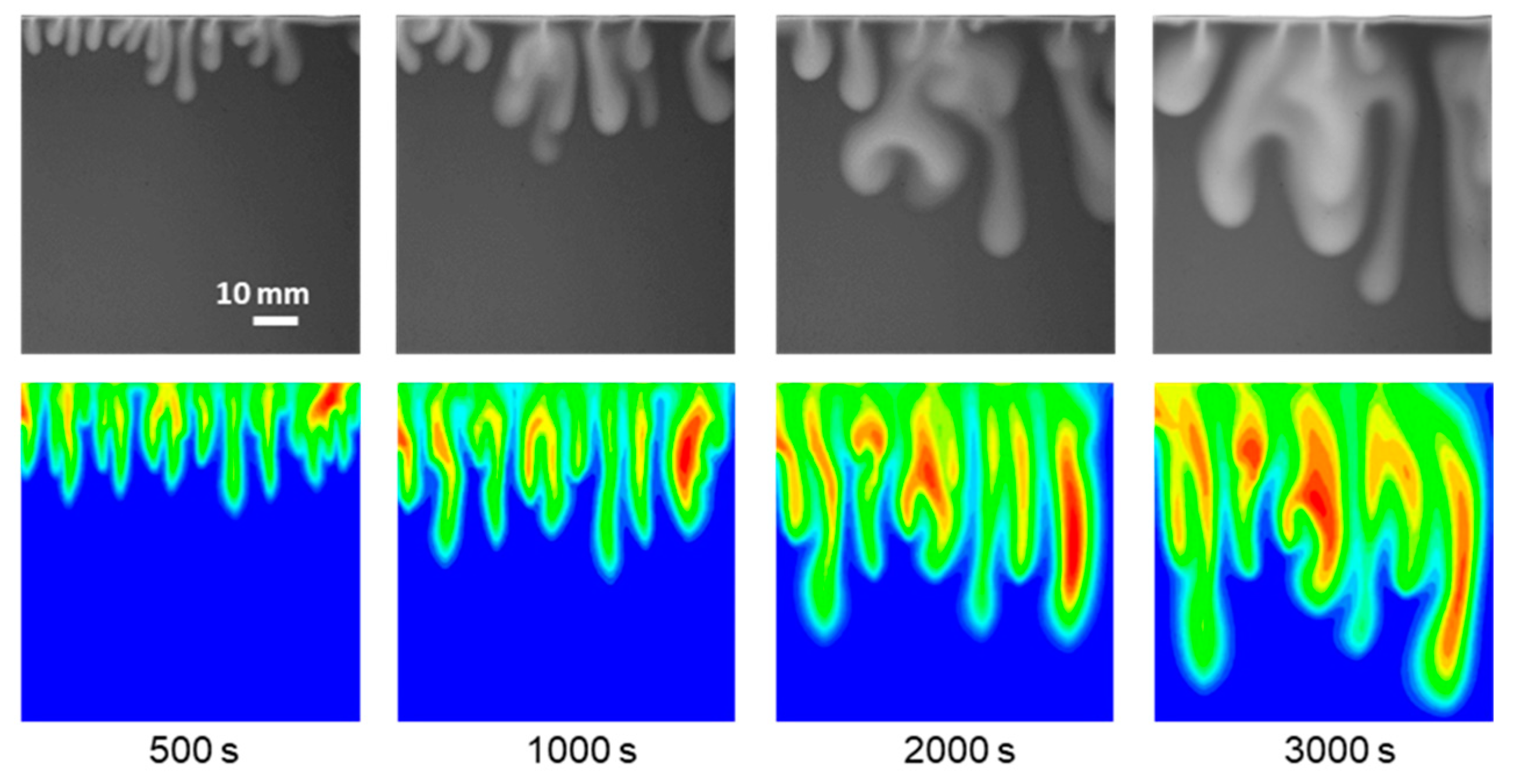 Polymers 13 00661 g014