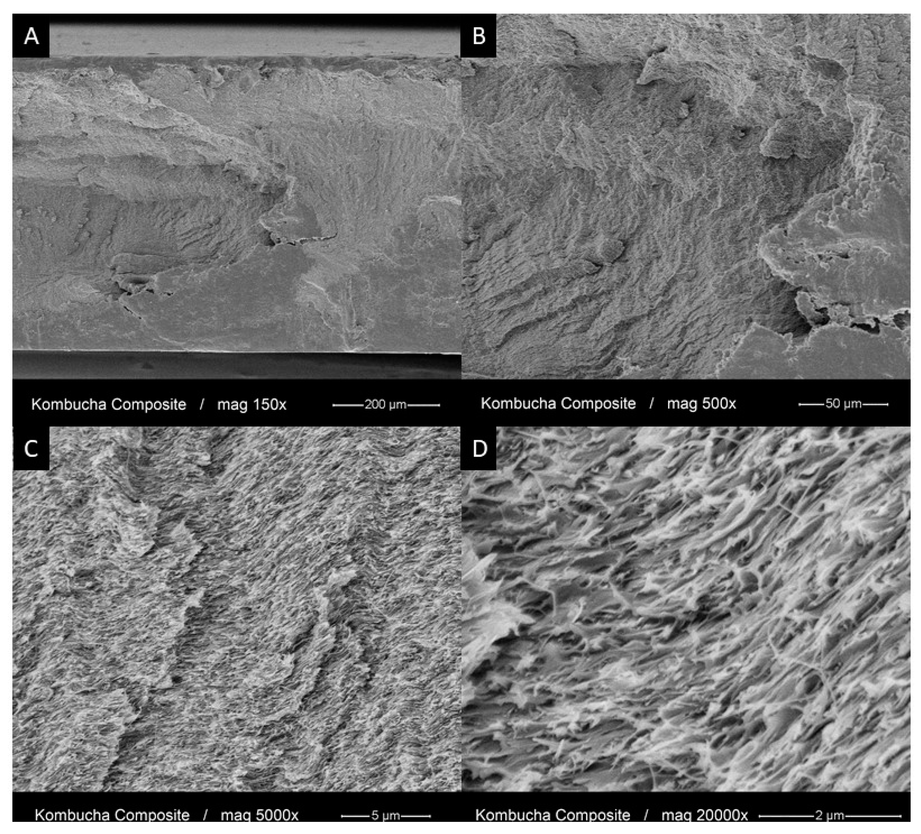 Polymers 13 00664 g007